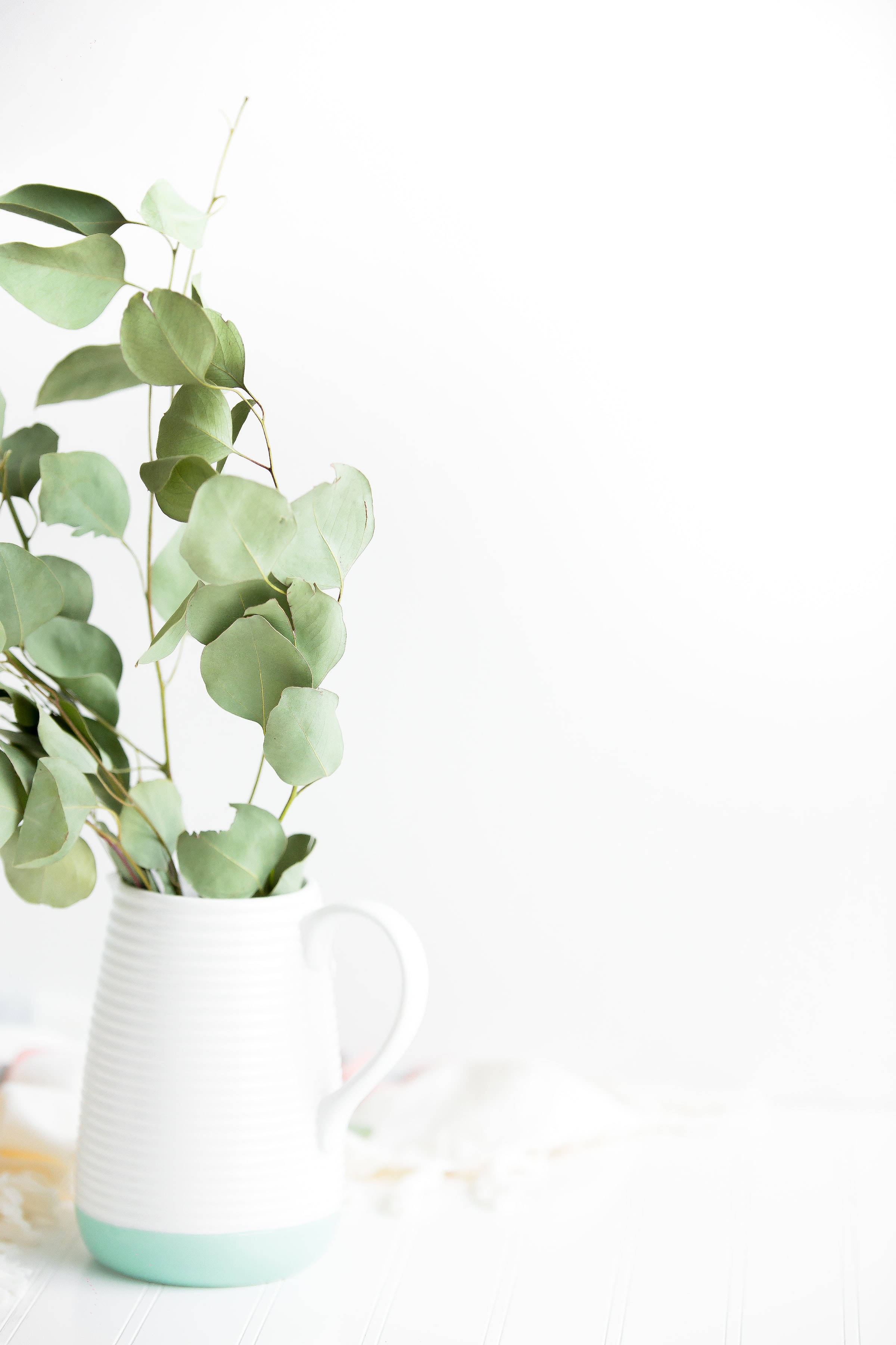 mint base, eucalyptus branches, white pitcher, 2K Phone Wallpaper
