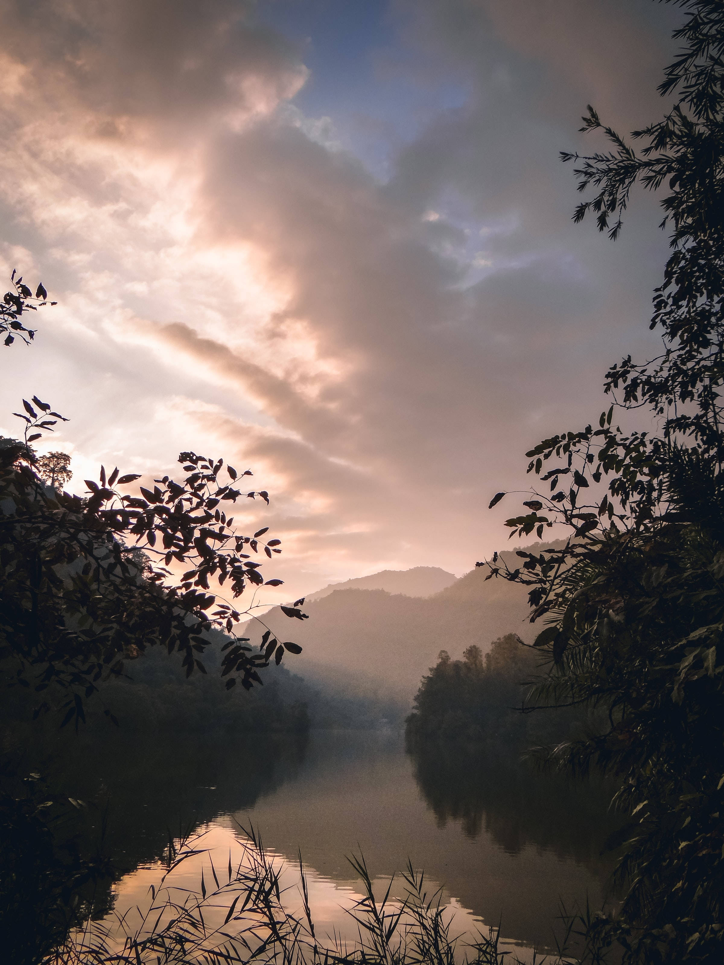 Sunset, misty river, silhouetted tree branches, 2K Phone Wallpaper