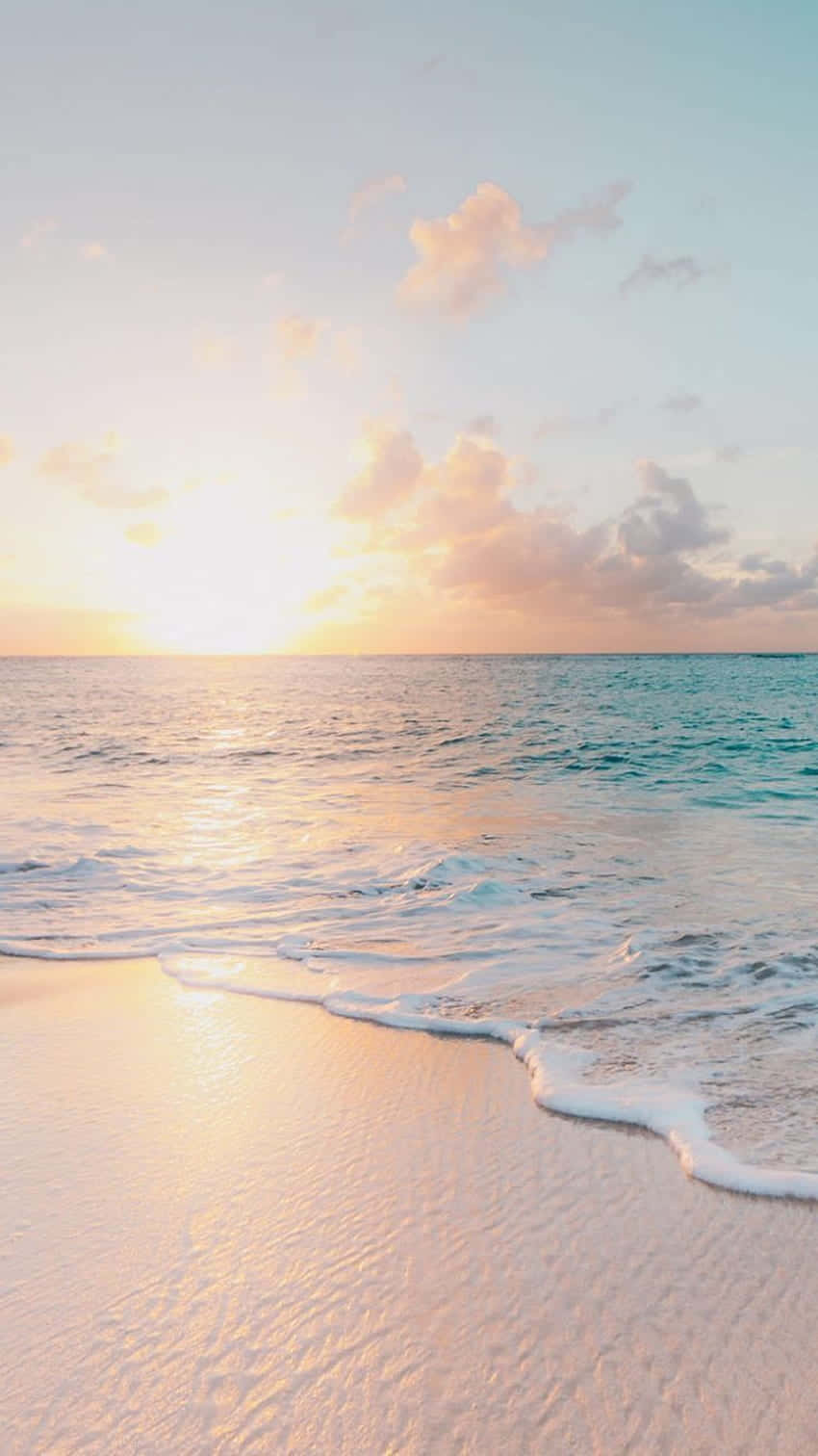 serene sunset beach scene, golden waves, pale pink sandy beach, HD Phone Wallpaper