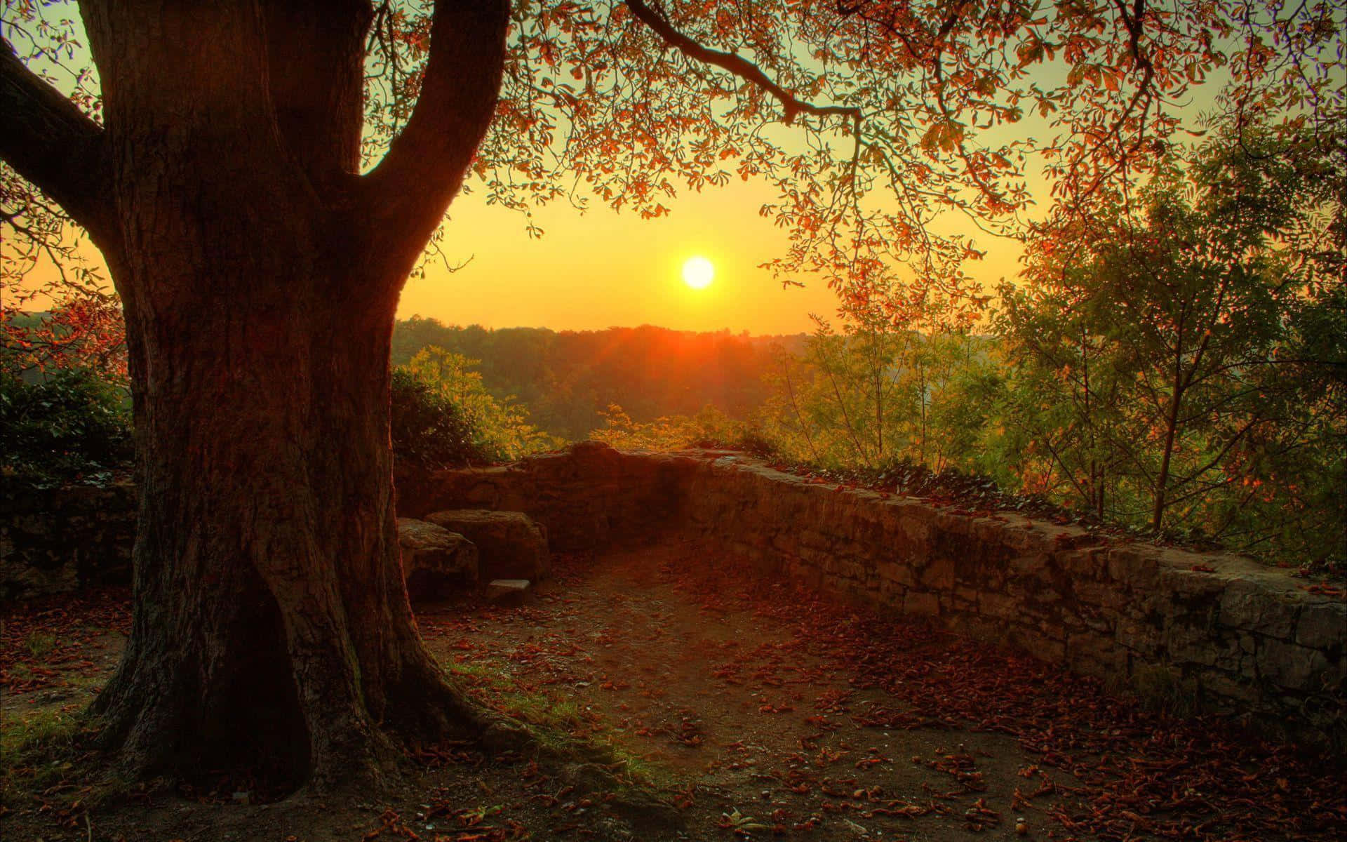 Calming Desktop, stone path, sunset, Full HD Desktop Wallpaper