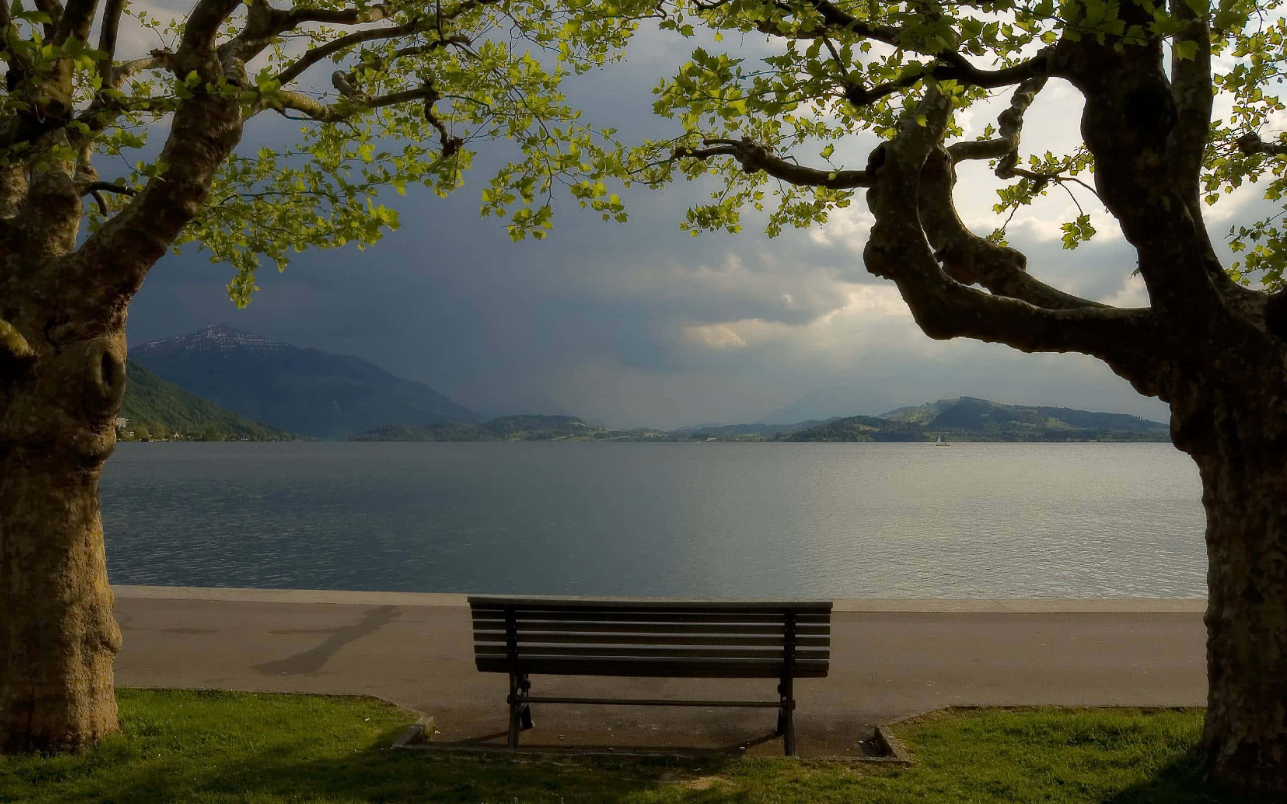 wooden bench, leafy trees, calm lake, 2K Desktop Wallpaper