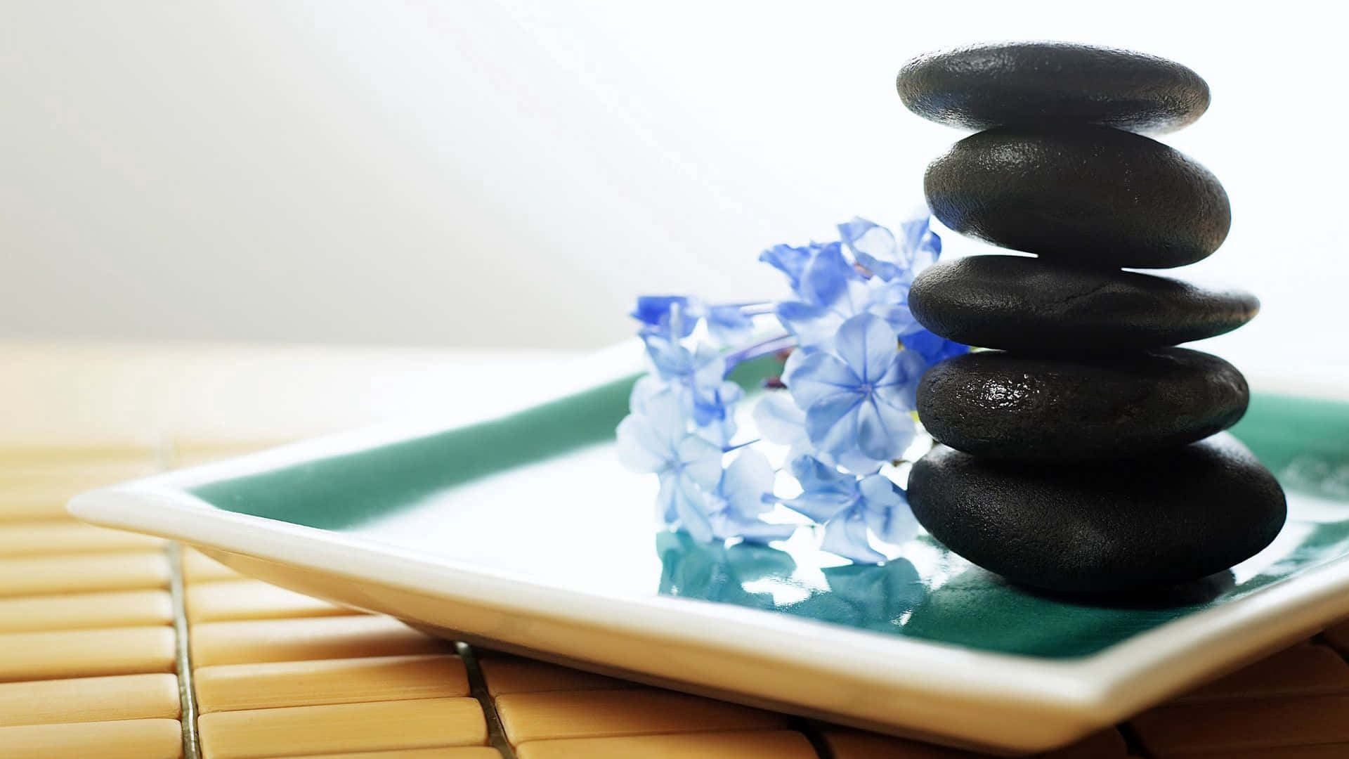 black stones, blue flowers, green plate, Full HD Desktop Wallpaper