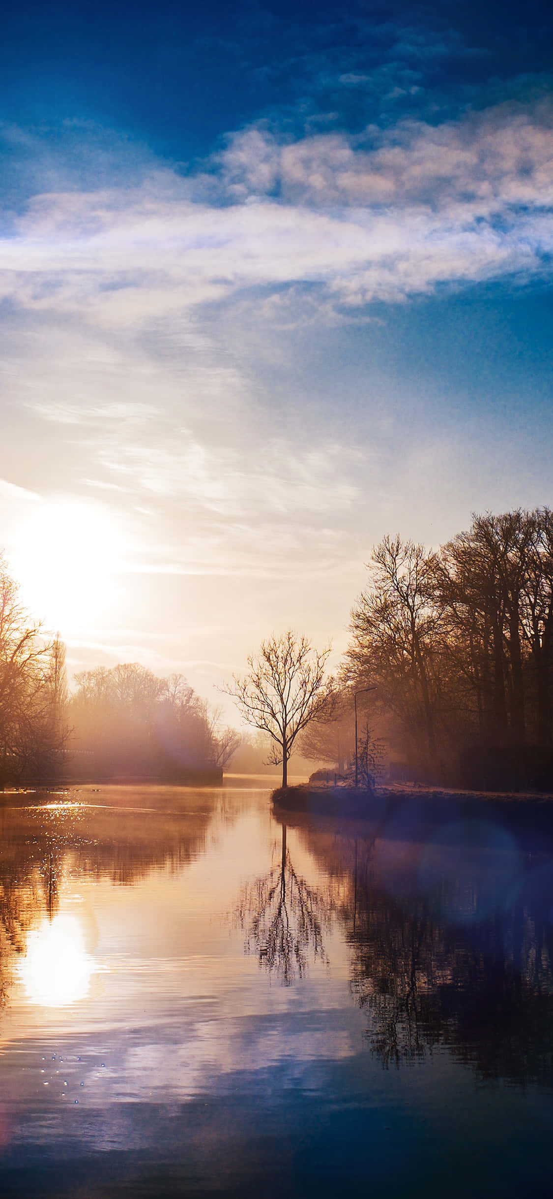 Sunrise, misty river, bare trees, Full HD Phone Wallpaper