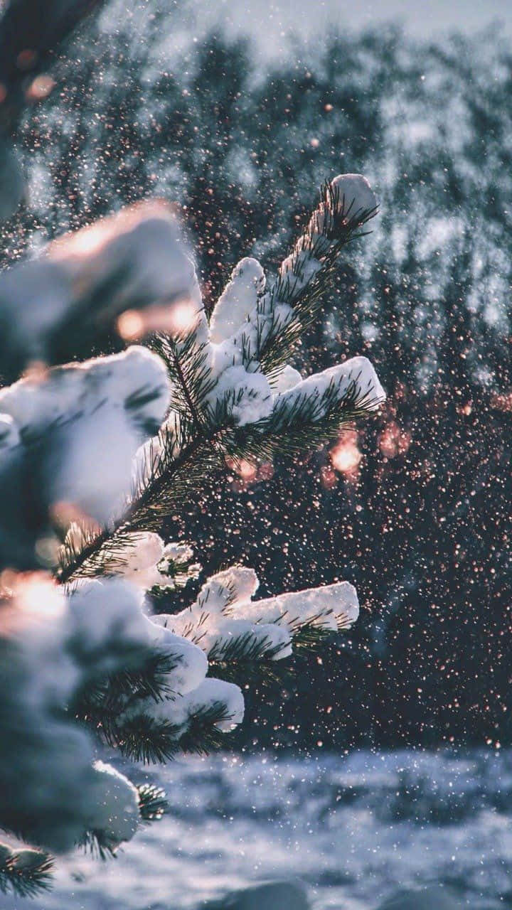 Cozy iPhone, soft bed, snowflakes, HD Phone Wallpaper