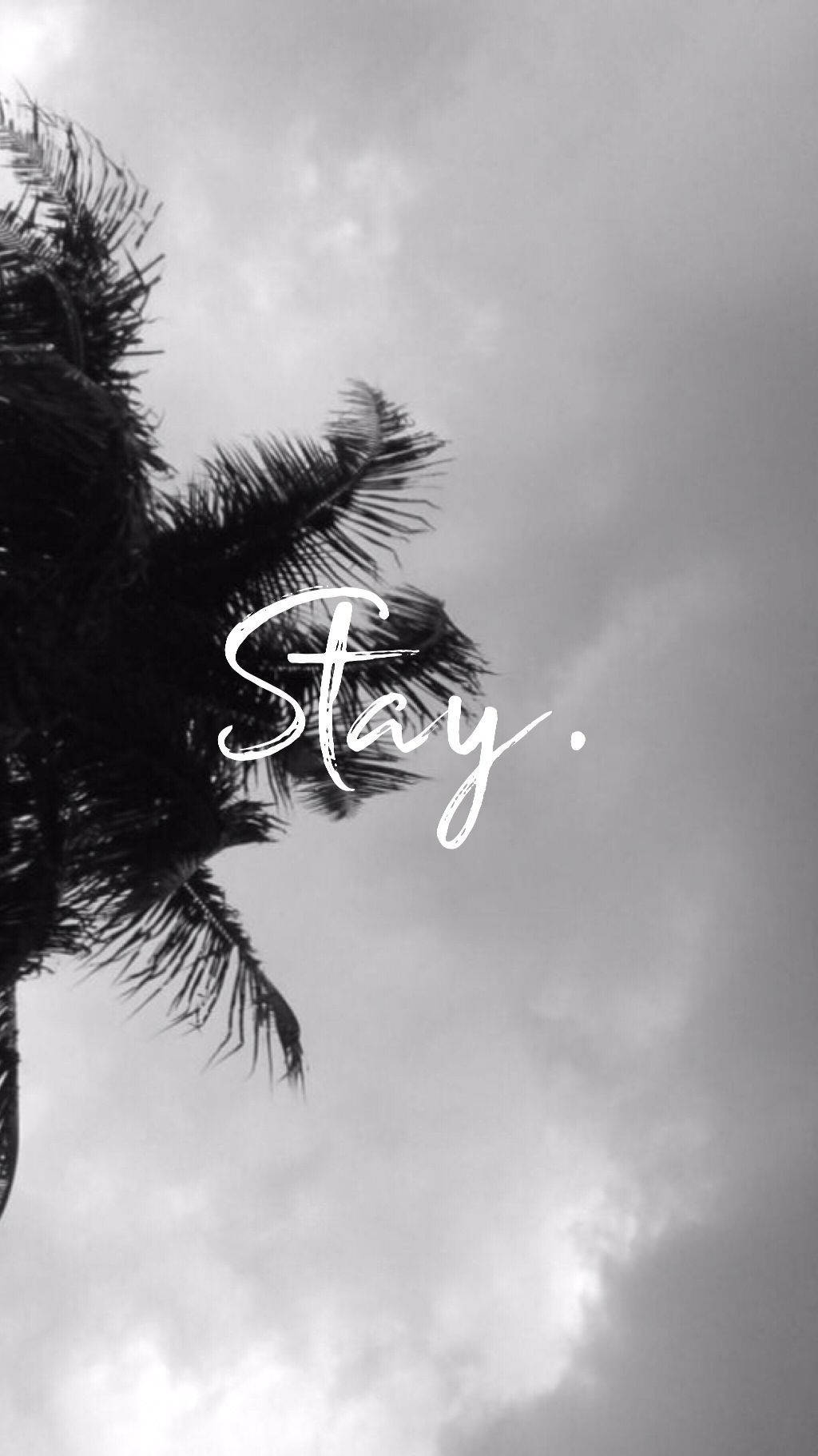 Palm Tree, Dark Grey, Cloudy Sky, HD Phone Wallpaper