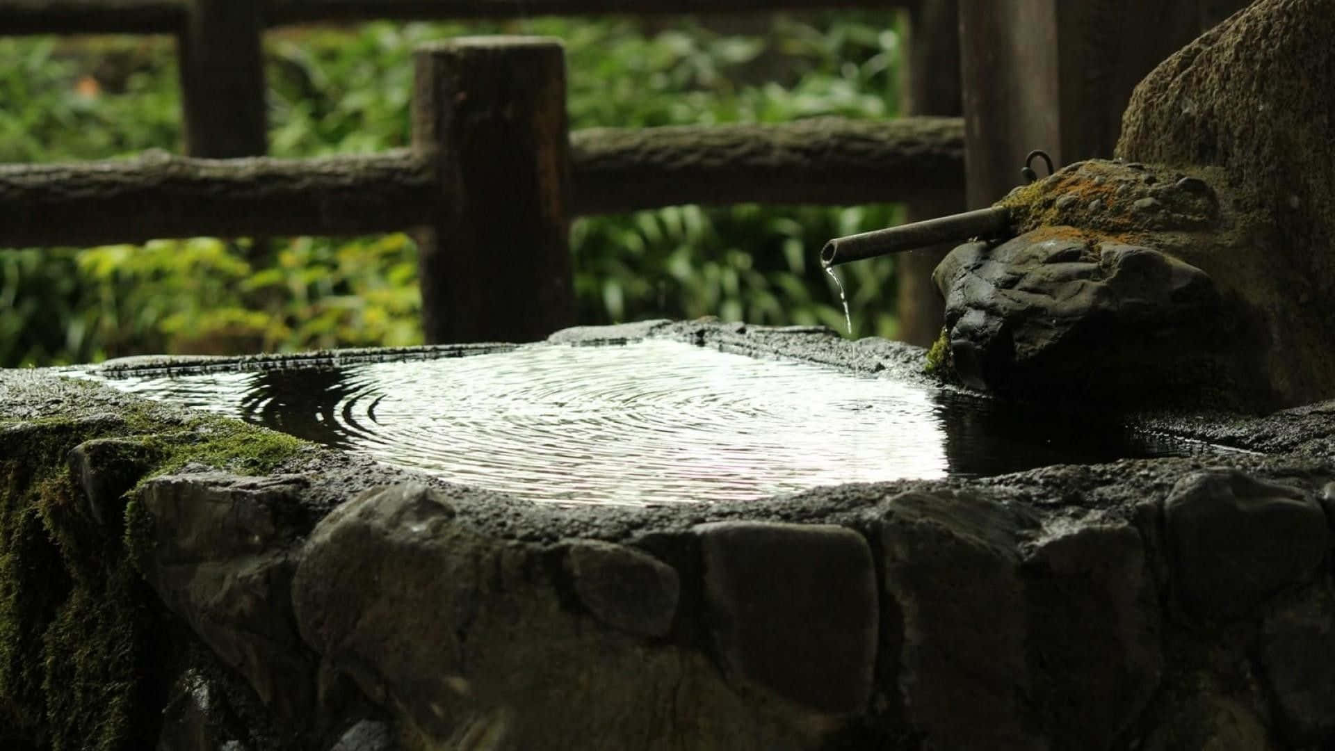 Zen Desktop, stone water basin, mossy garden, Full HD Desktop Wallpaper