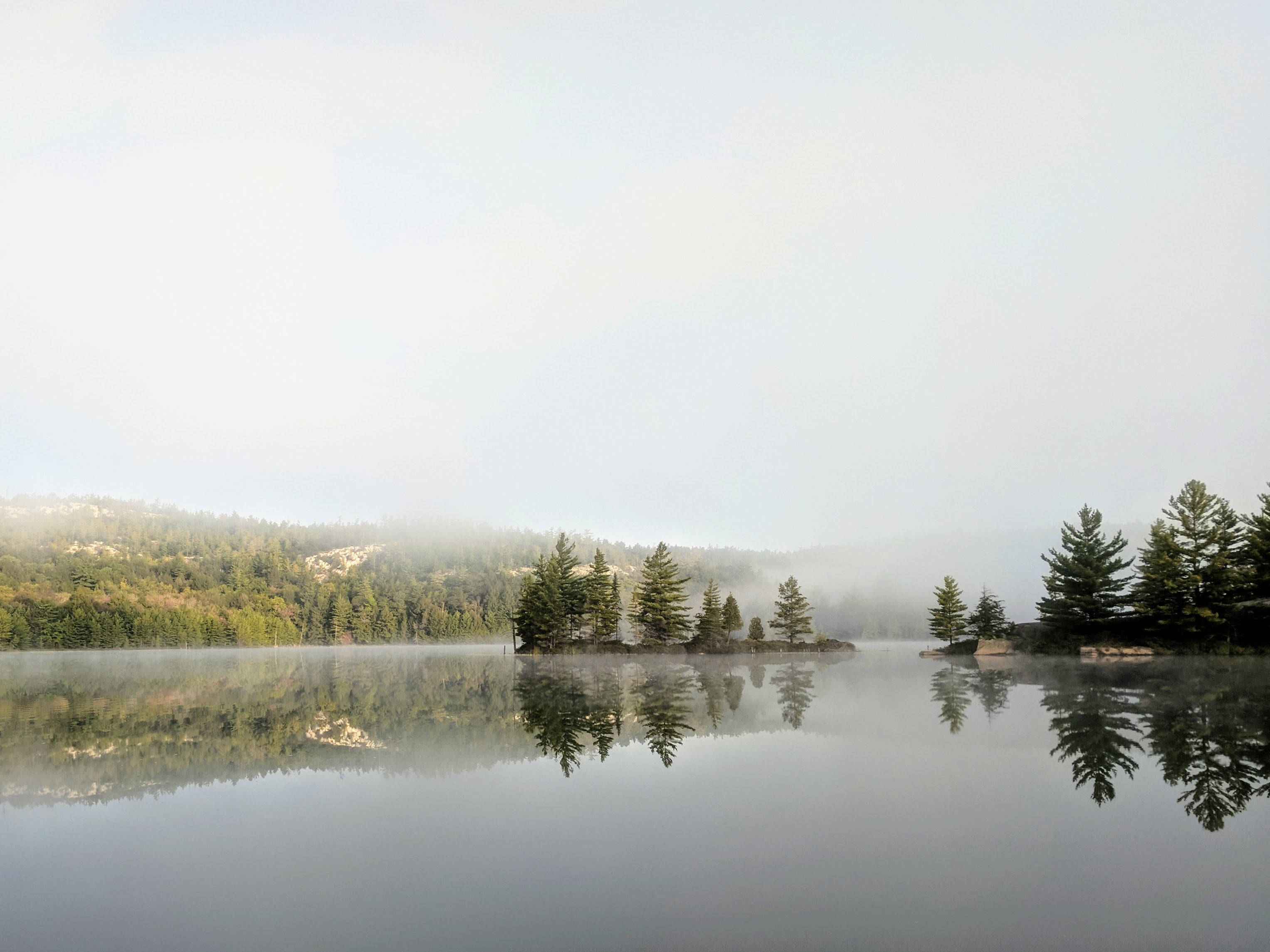 foggy forest landscape, misty morning, calm lake, 2K Desktop Wallpaper