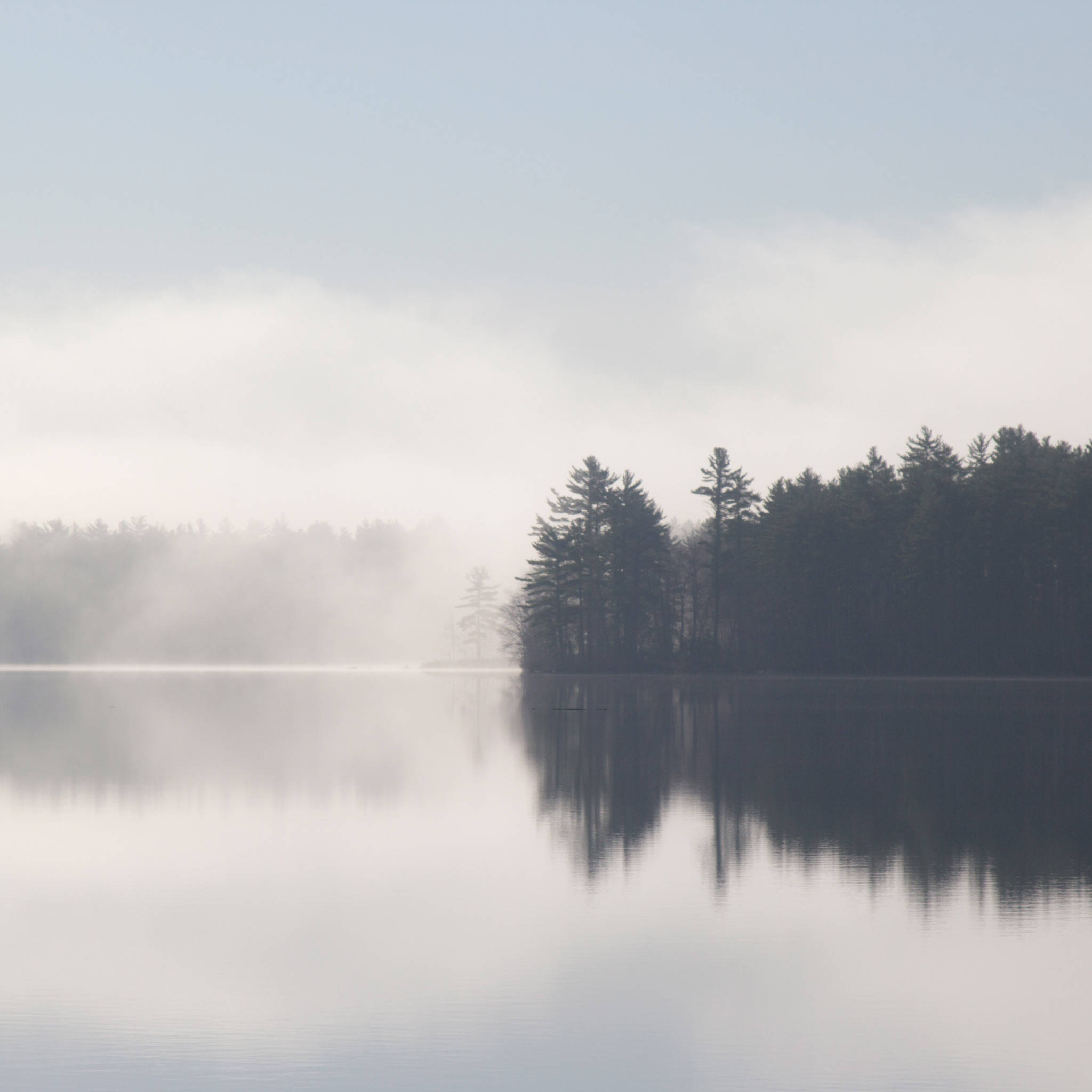 lake, misty dawn, pine trees, Full HD Desktop Wallpaper
