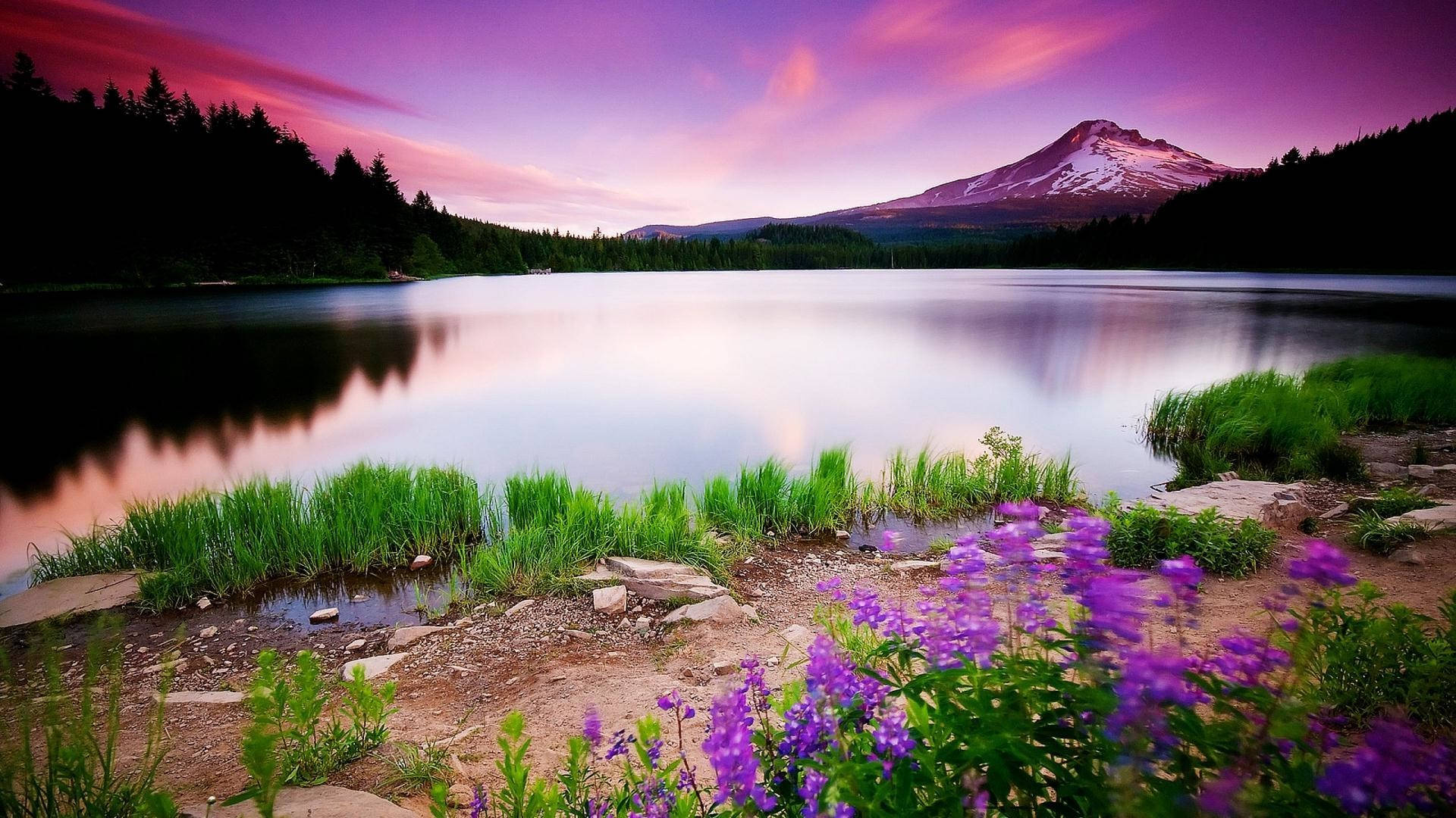 purple sky, snowcapped mountain, vibrant purple sunset, Full HD Desktop Wallpaper