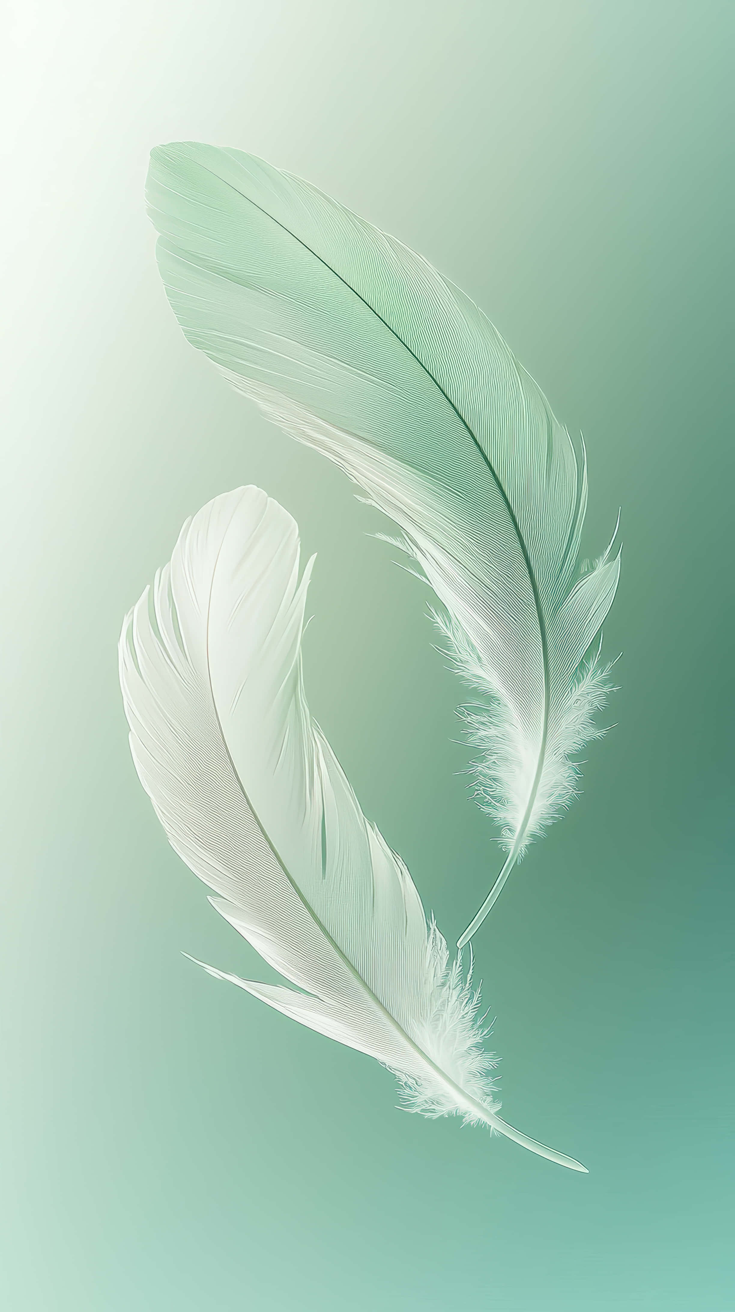 delicate floating white feathers, pale green feather, pure white feather, 4K Phone Wallpaper