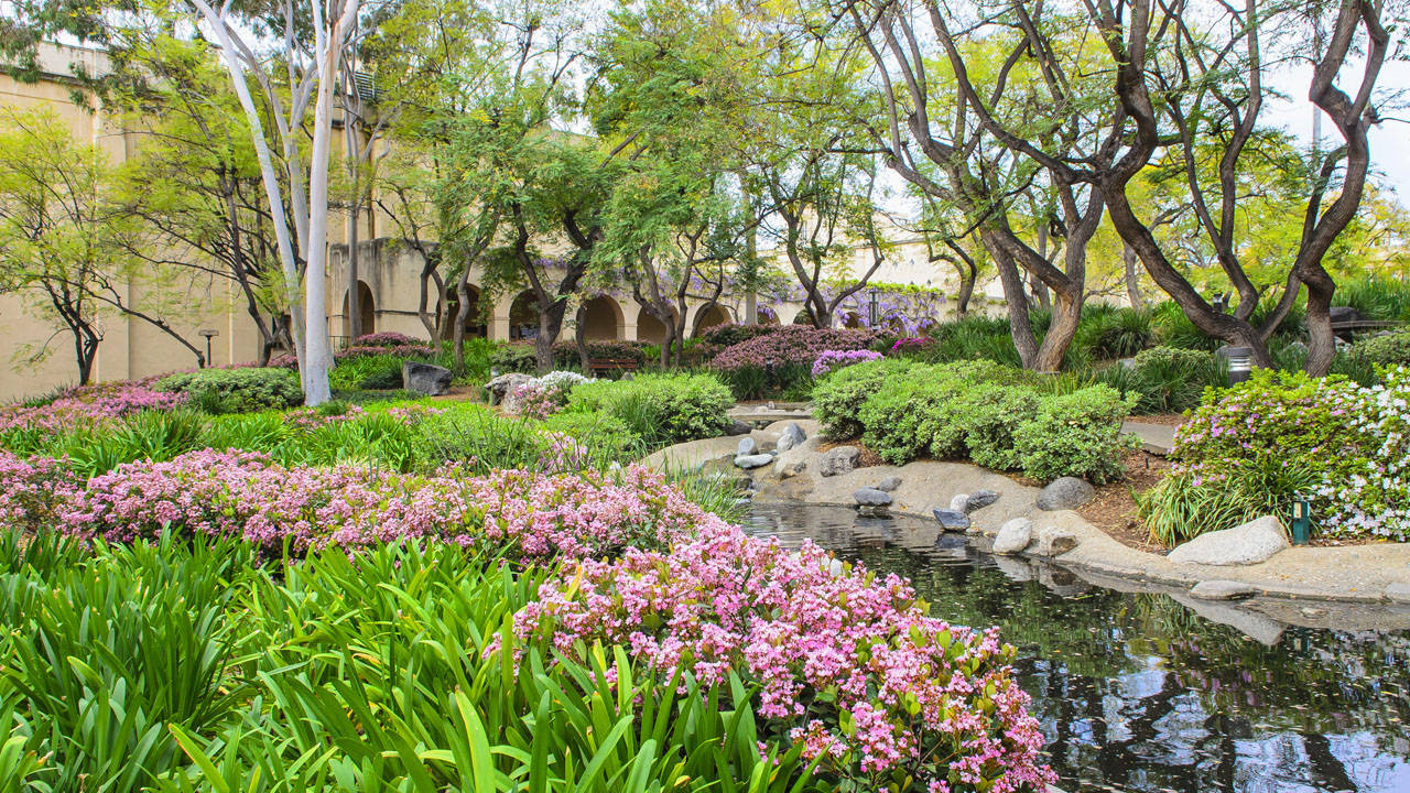 Caltech, garden, pond, HD Desktop Wallpaper
