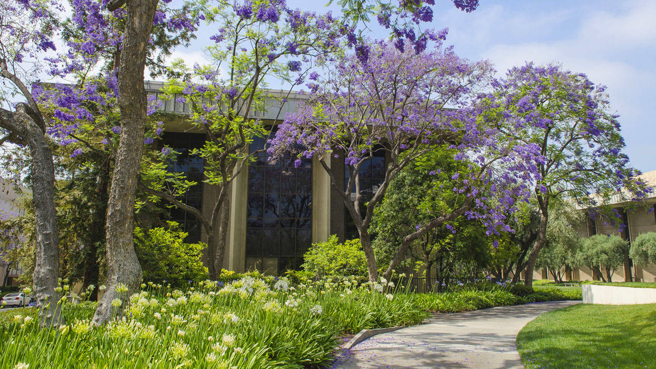 Caltech, pathway, garden, HD Desktop Wallpaper