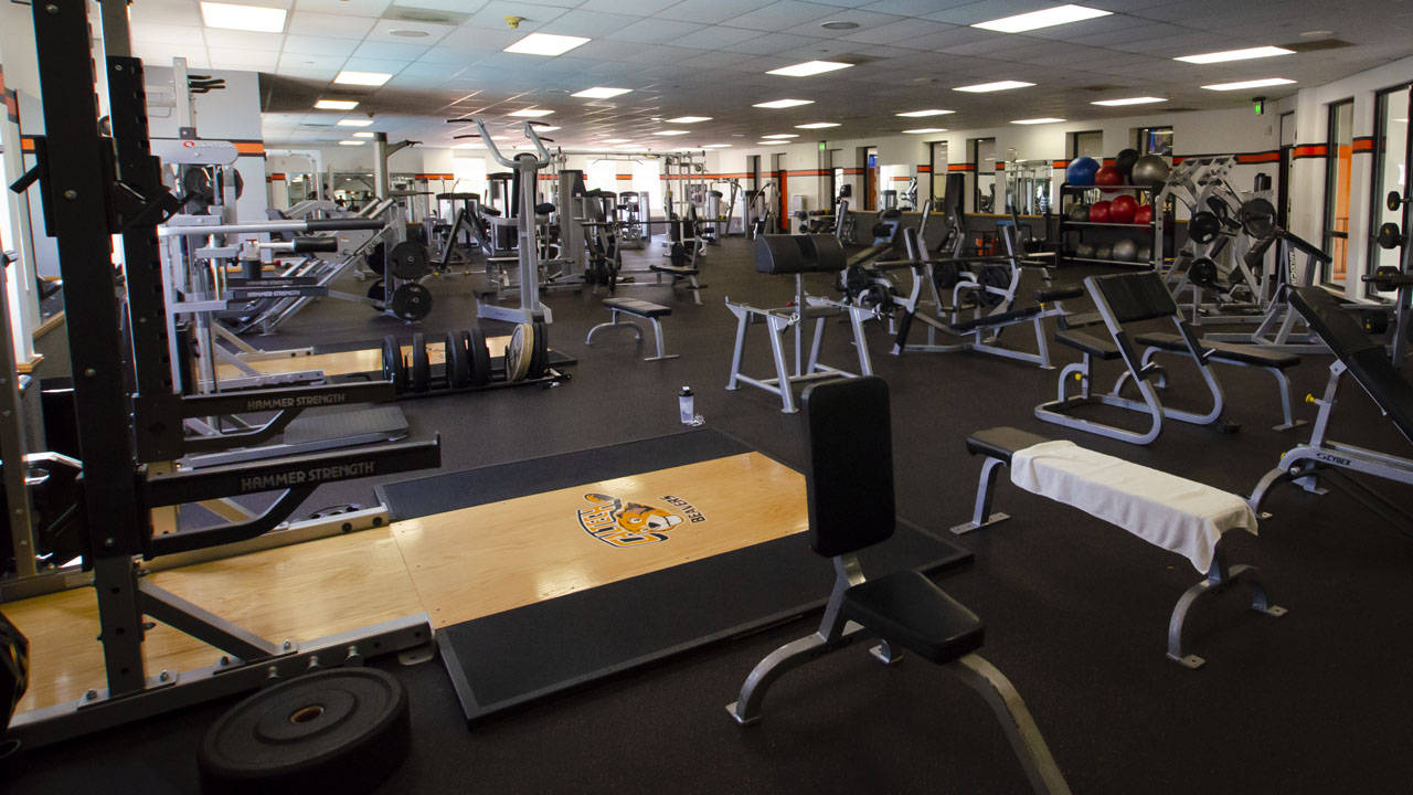 Caltech, gym, weightlifting equipment, HD Desktop Wallpaper