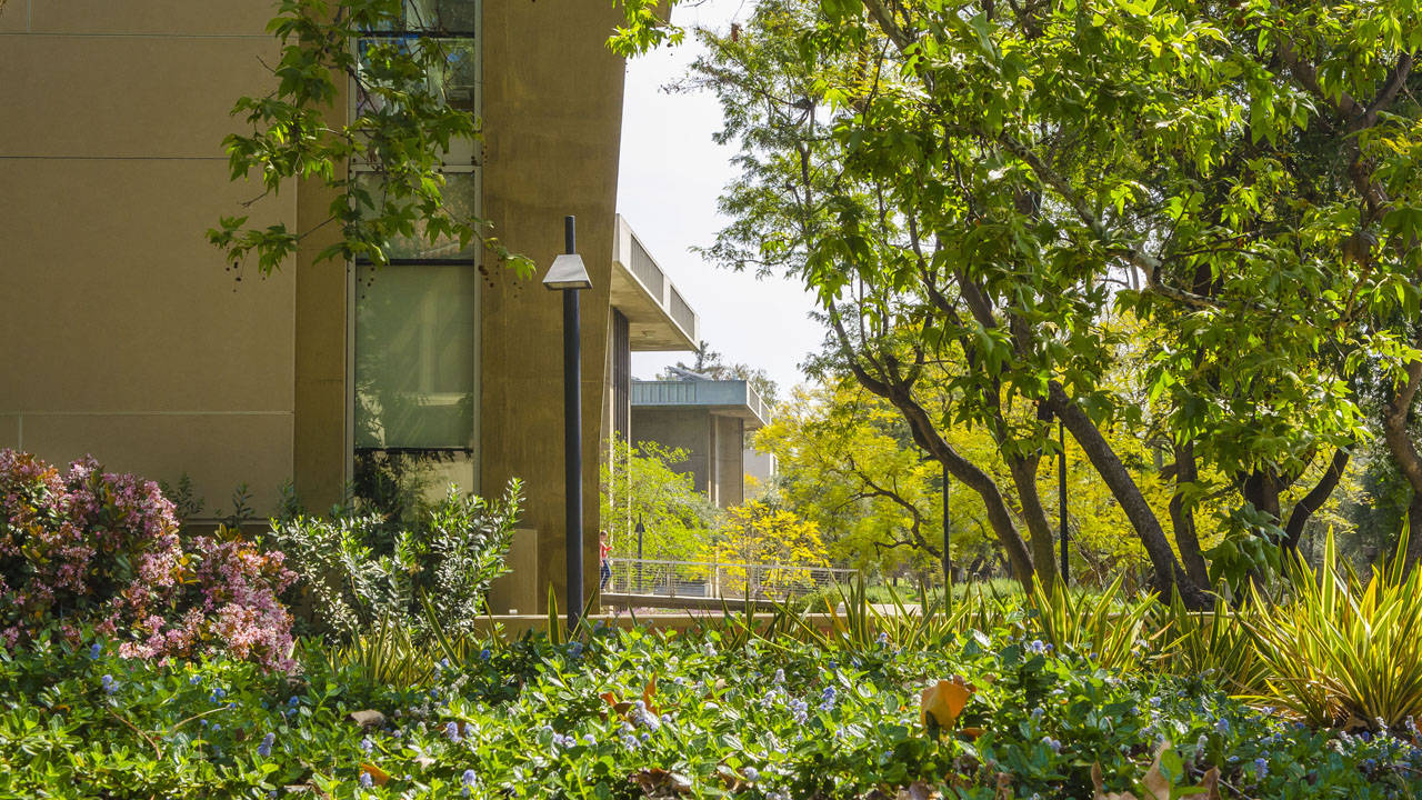 lamp post, garden, Caltech, HD Desktop Wallpaper