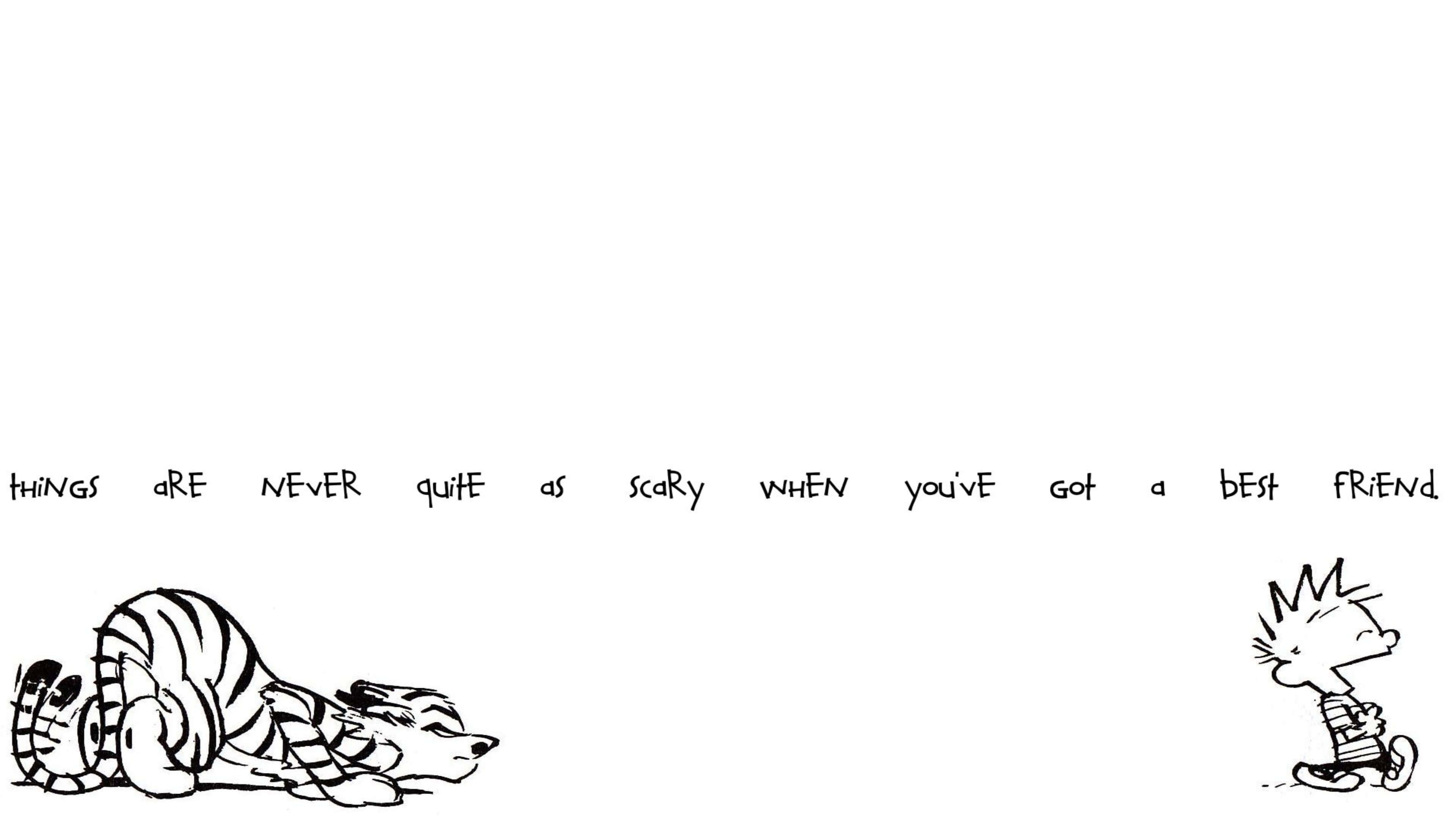 Calvin And Hobbes, boy and a tiger, black and white cartoon, 4K Desktop Wallpaper