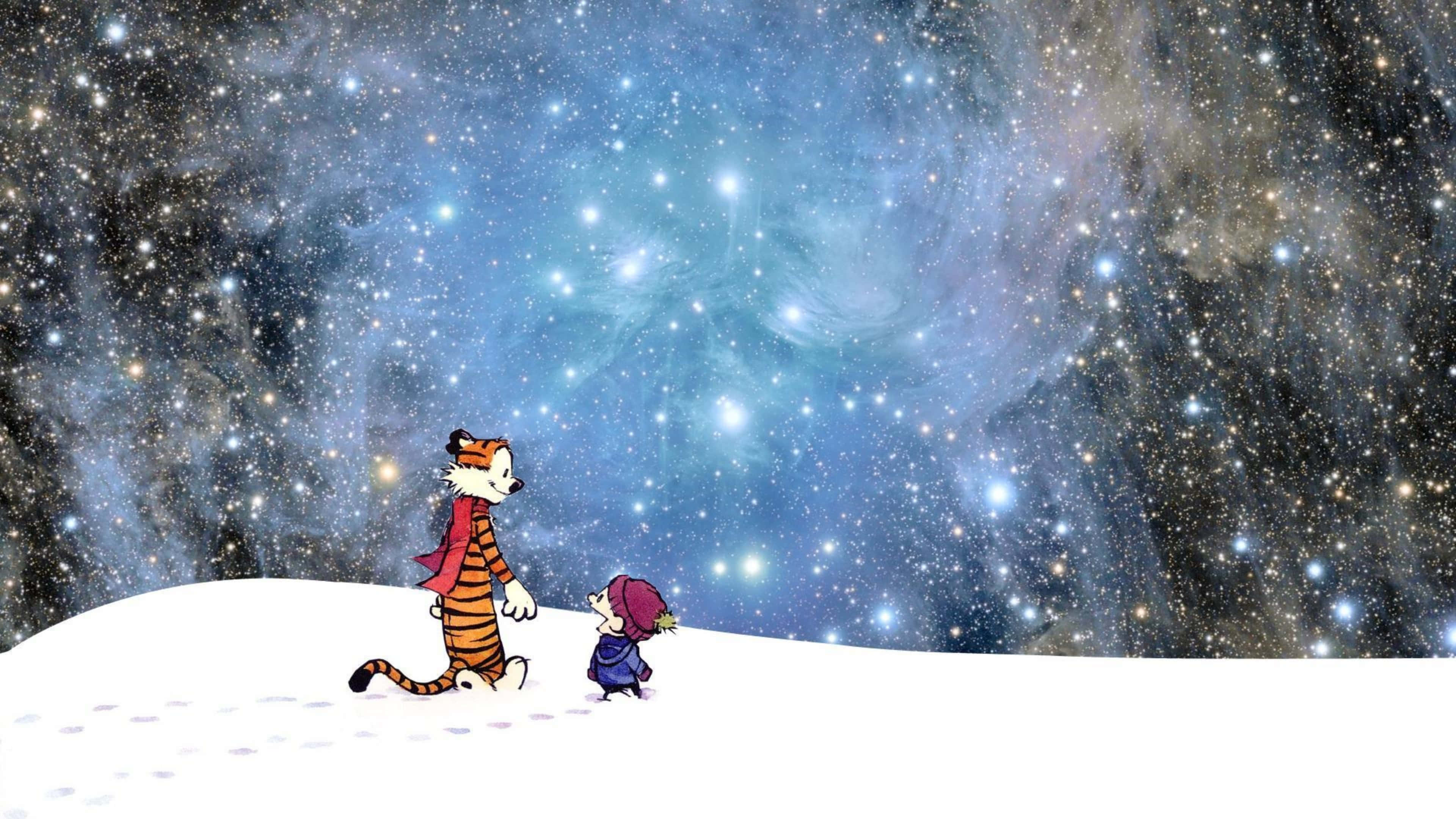 Calvin and Hobbes, snowy hill, starry night sky, 4K Desktop Wallpaper
