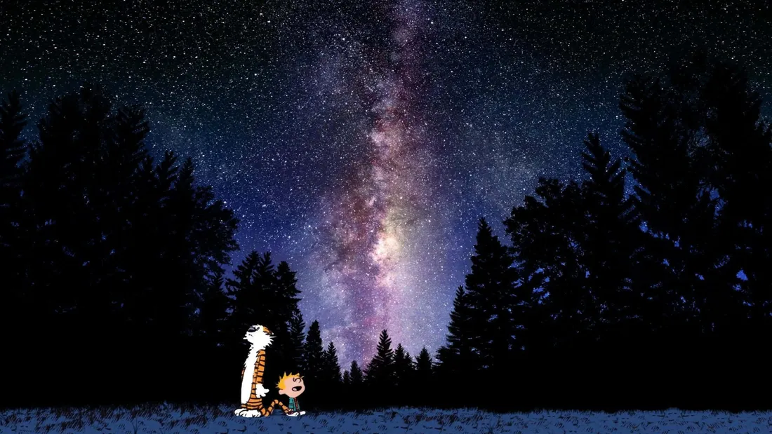Calvin And Hobbes