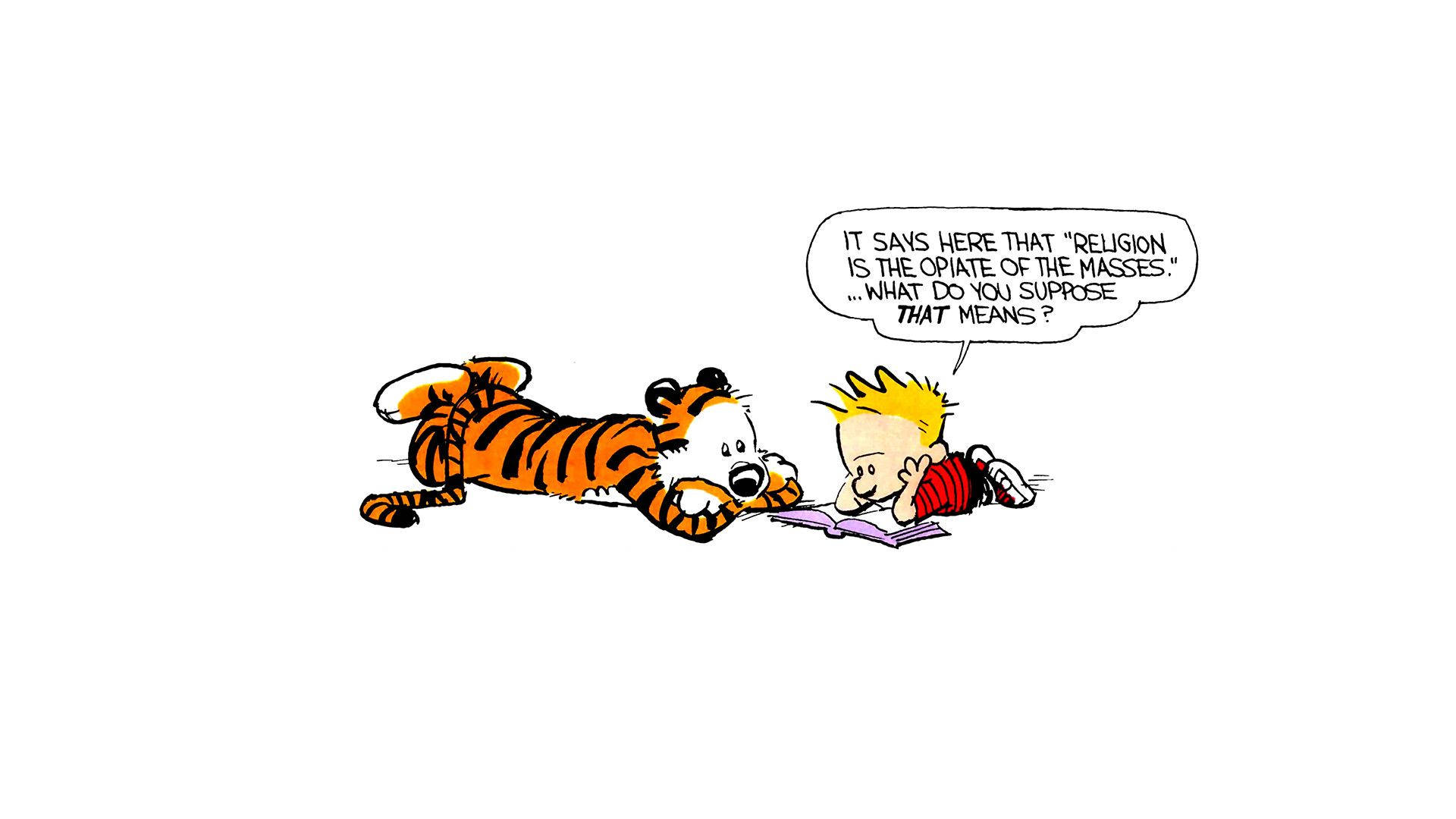 Calvin And Hobbes, tiger, white ground, Full HD Desktop Wallpaper
