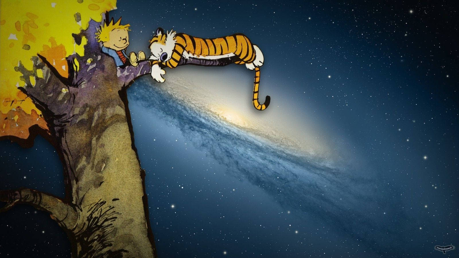 Calvin And Hobbes, tree branch, starry galaxy backdrop, HD Desktop Wallpaper
