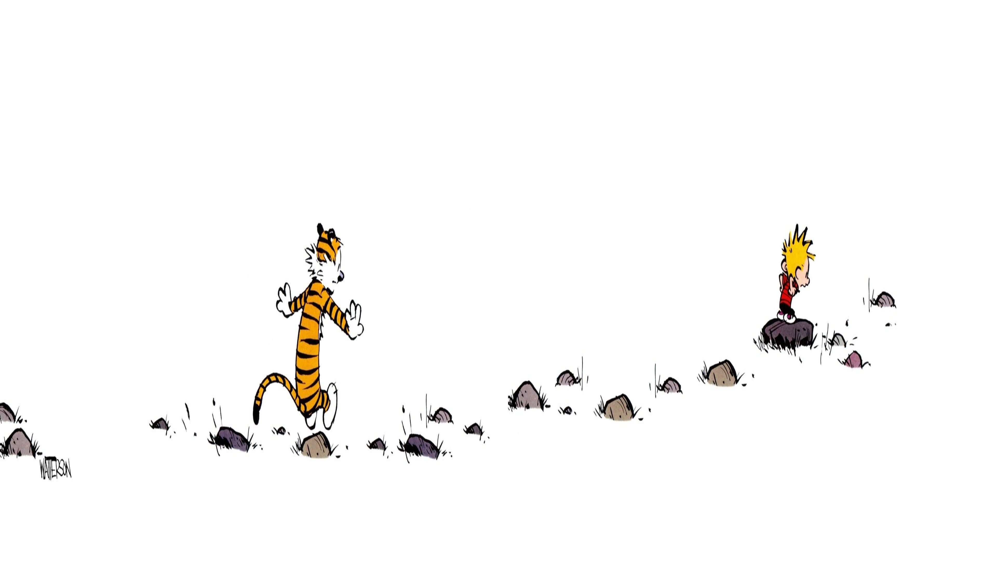 Calvin and Hobbes, rocky field, classic comic strip style, 4K Desktop Wallpaper