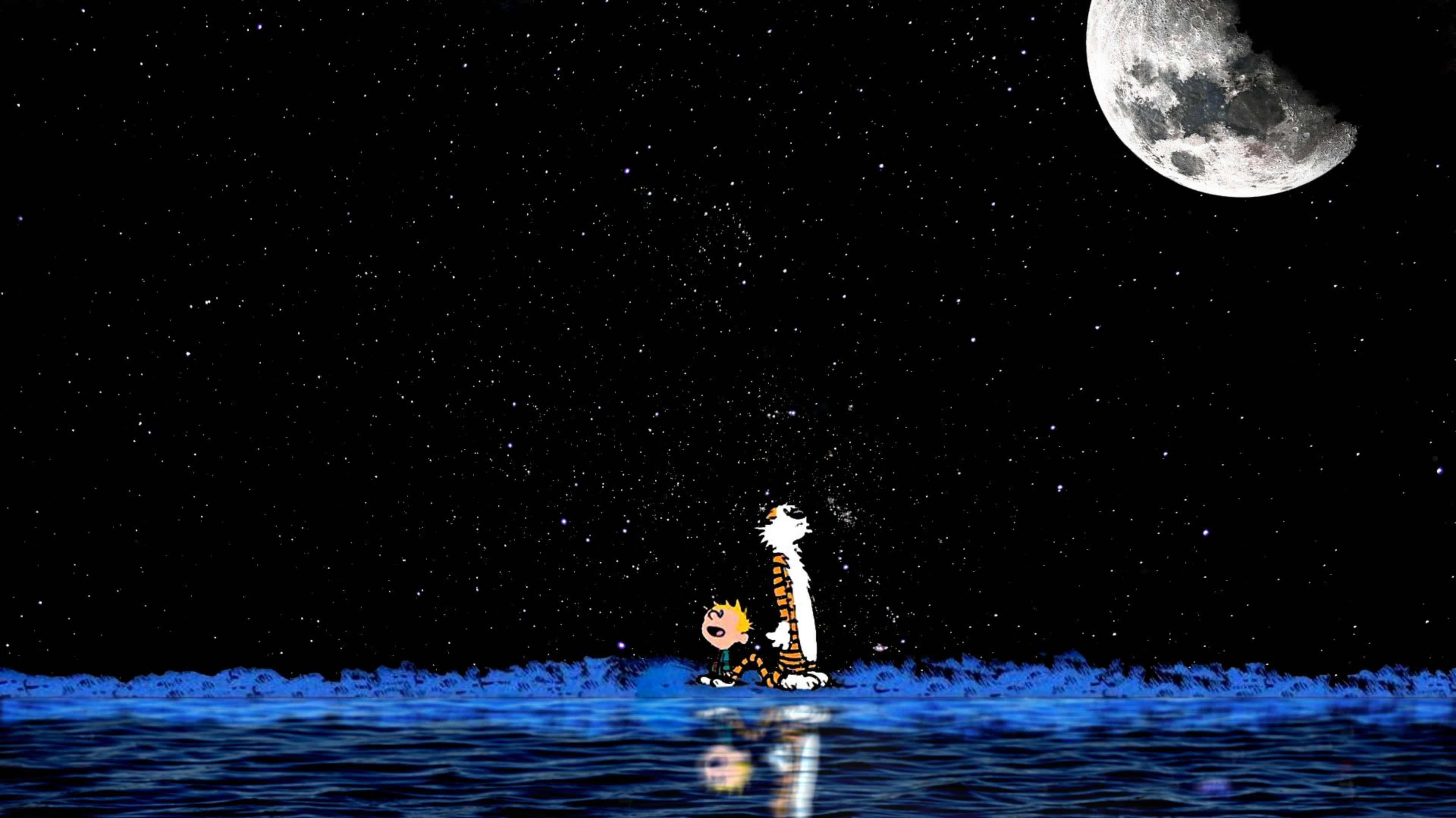 Calvin and Hobbes, 4K, starry night sky, 4K Desktop Wallpaper