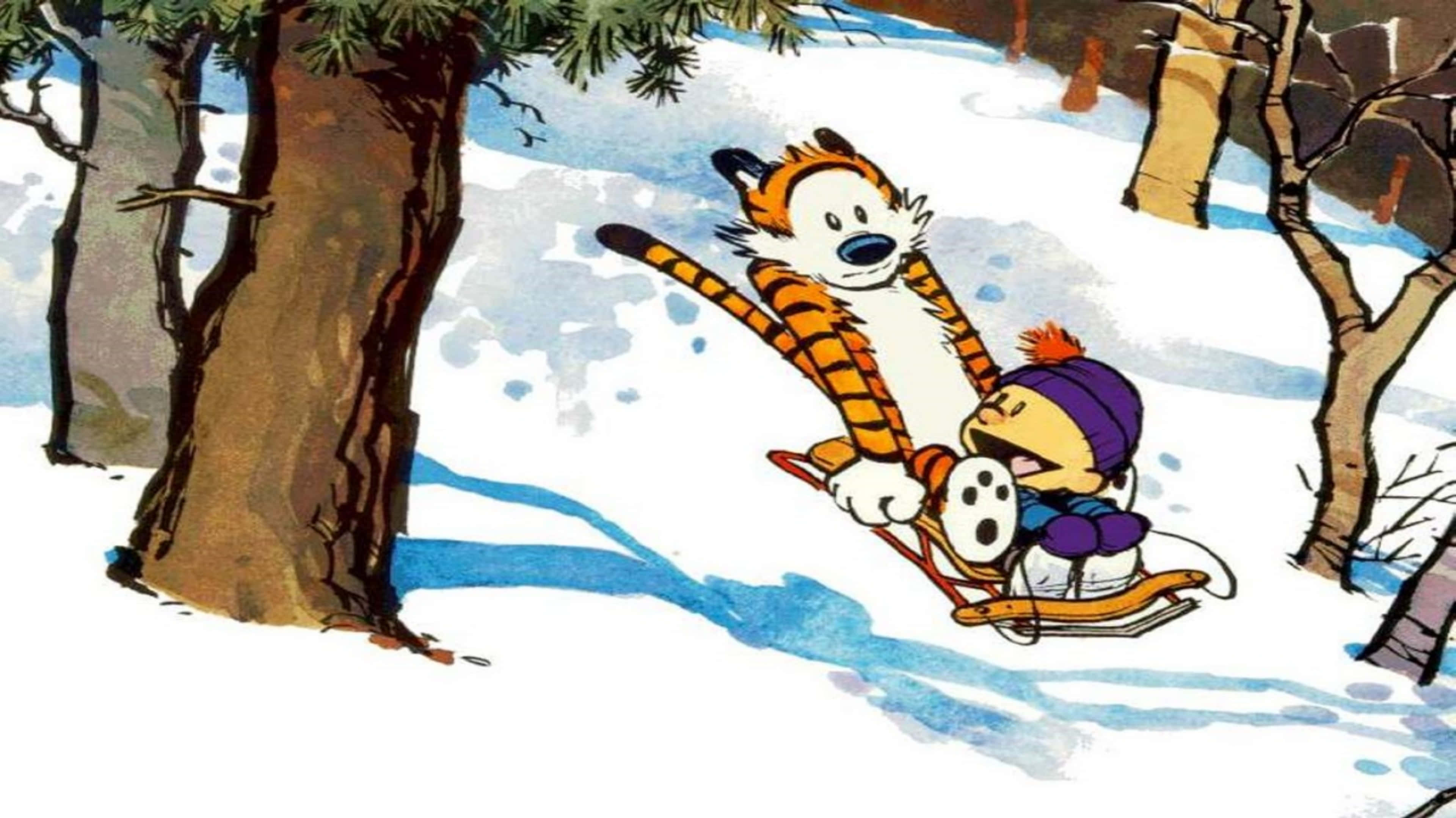 Calvin And Hobbes, Calvin, Hobbes, 4K Desktop Wallpaper