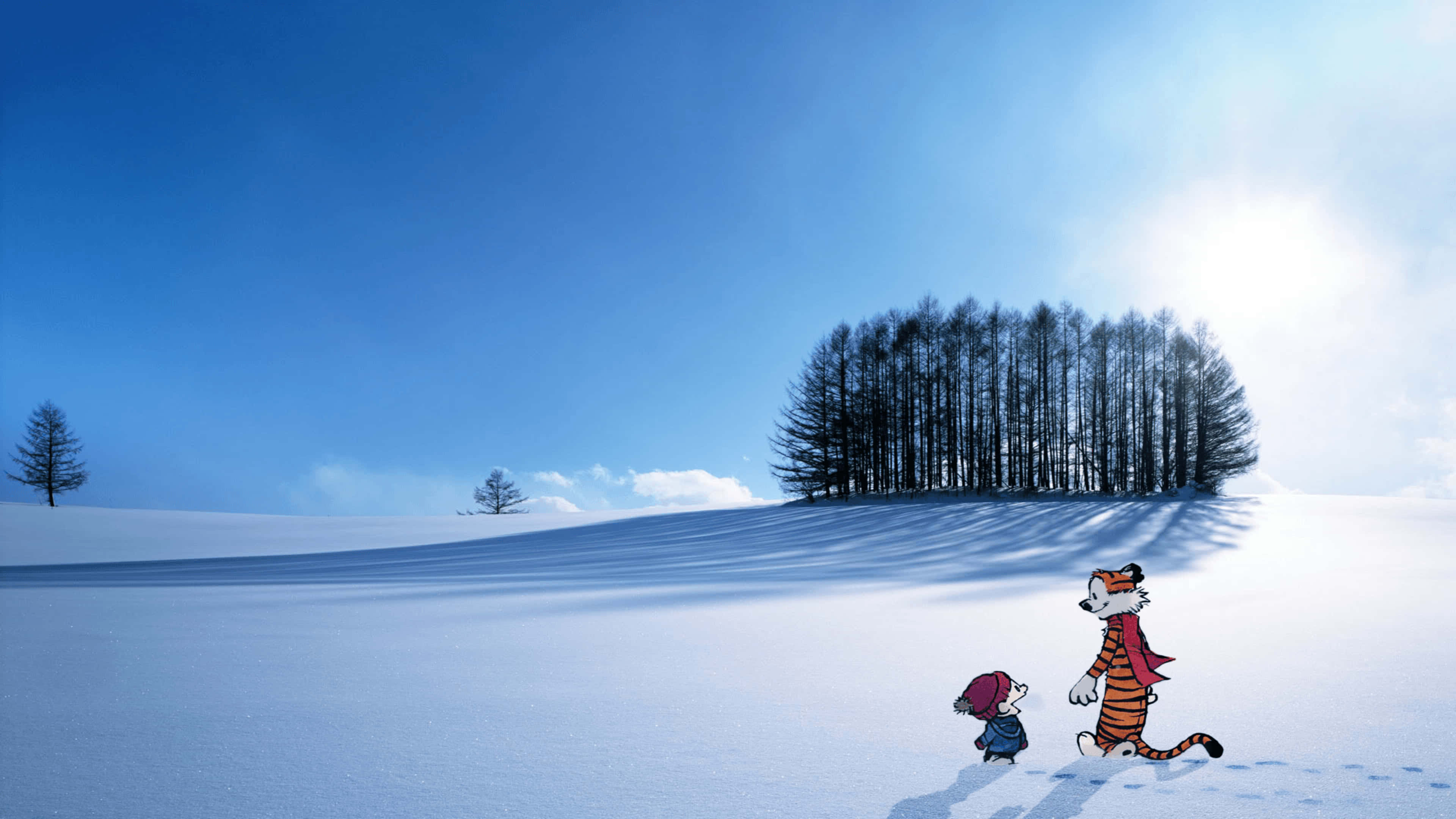 Calvin And Hobbes, tiger, child, 4K Desktop Wallpaper