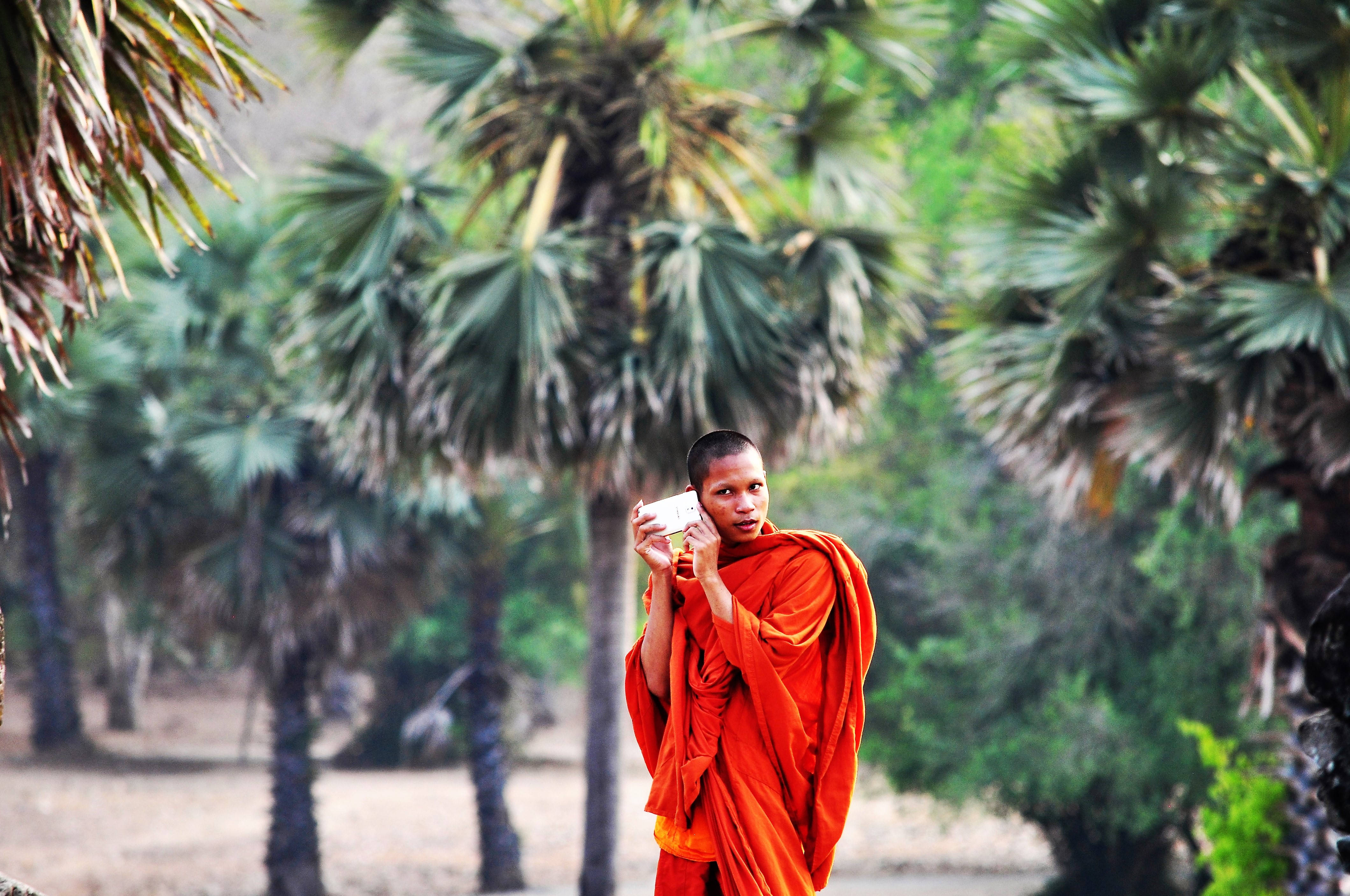 monk, vibrant orange robes, lush green palm trees, 4K Desktop Wallpaper