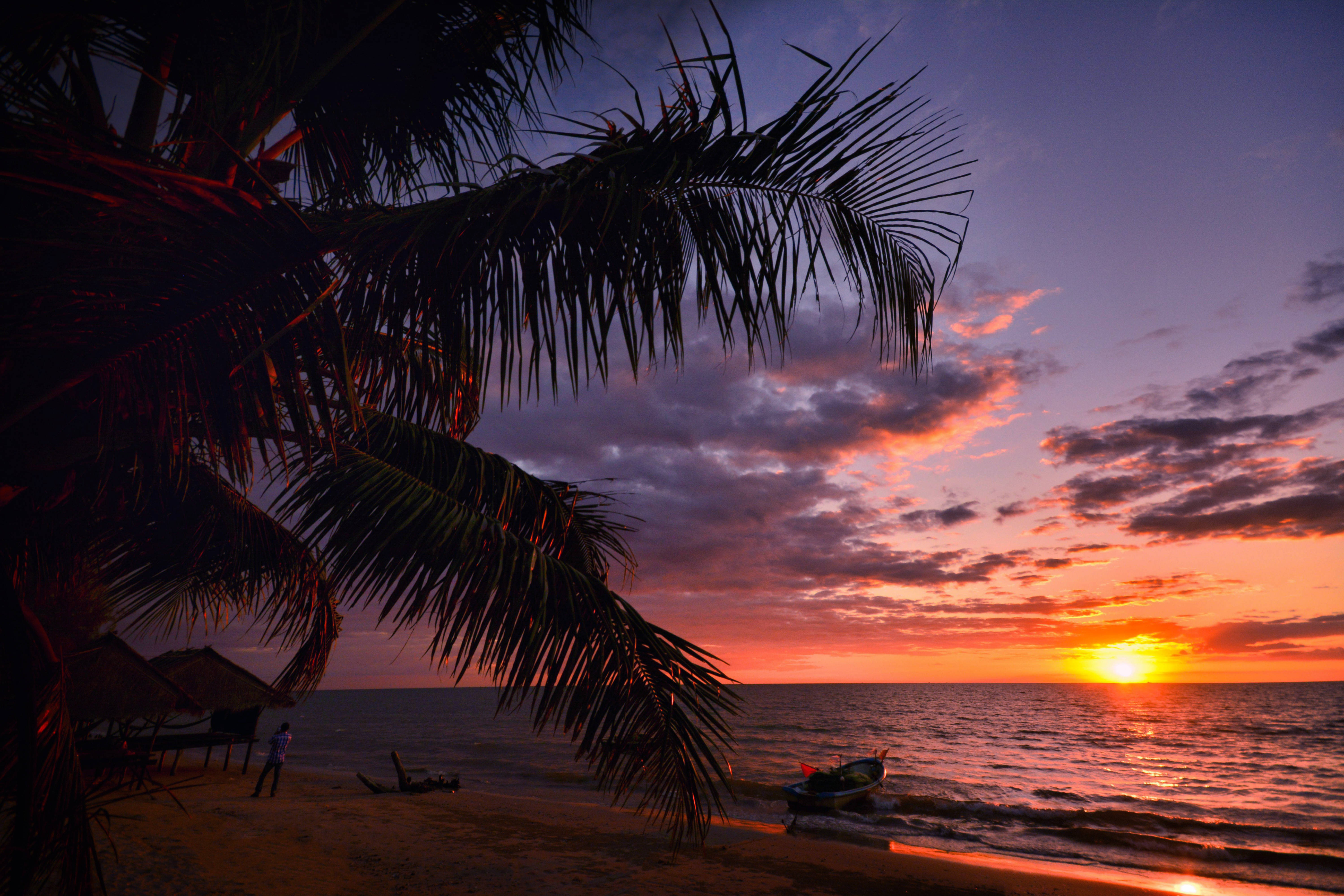 Cambodia, breathtaking sunset, palm fronds, 5K Desktop Wallpaper