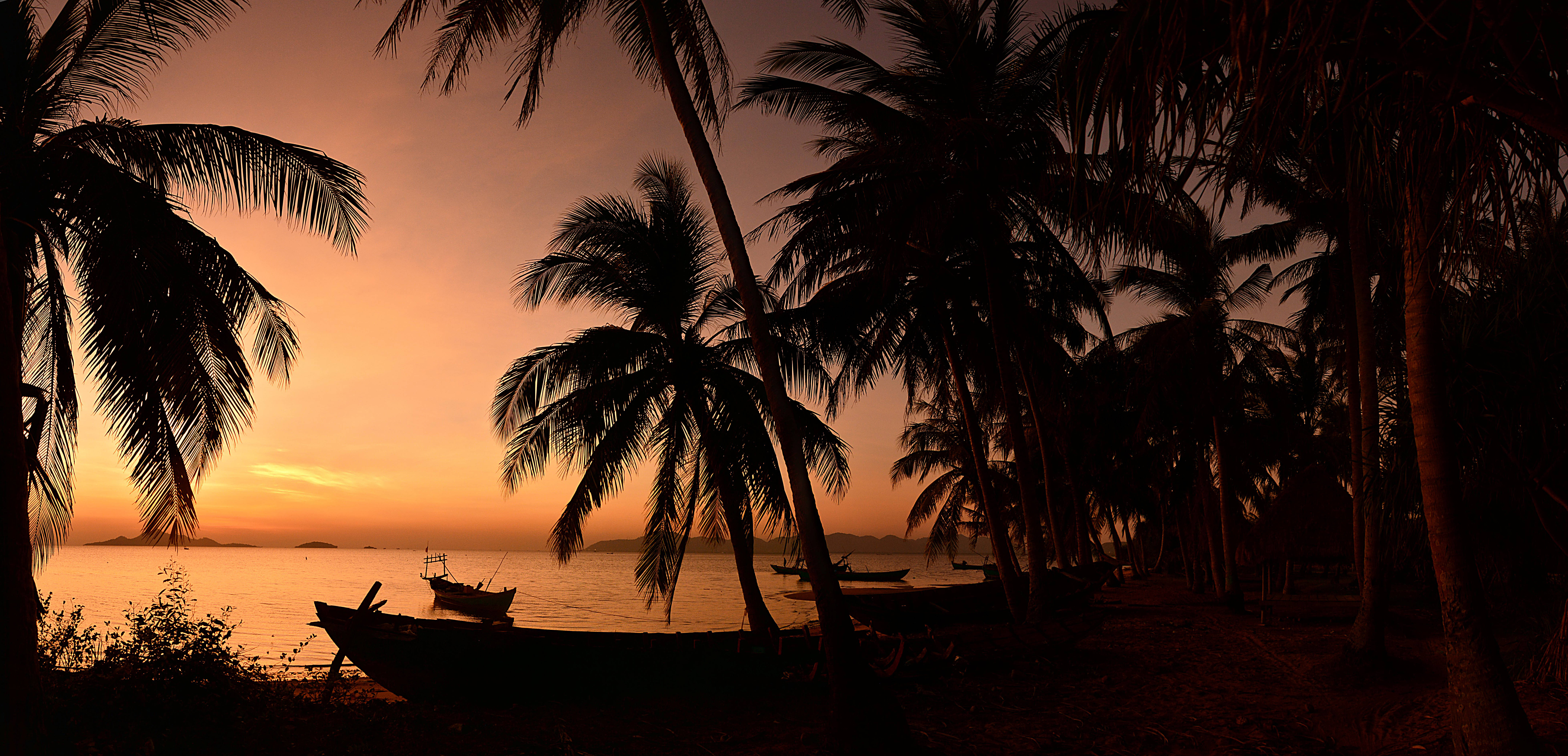silhouette, sunset, palm trees, 8K Desktop Wallpaper