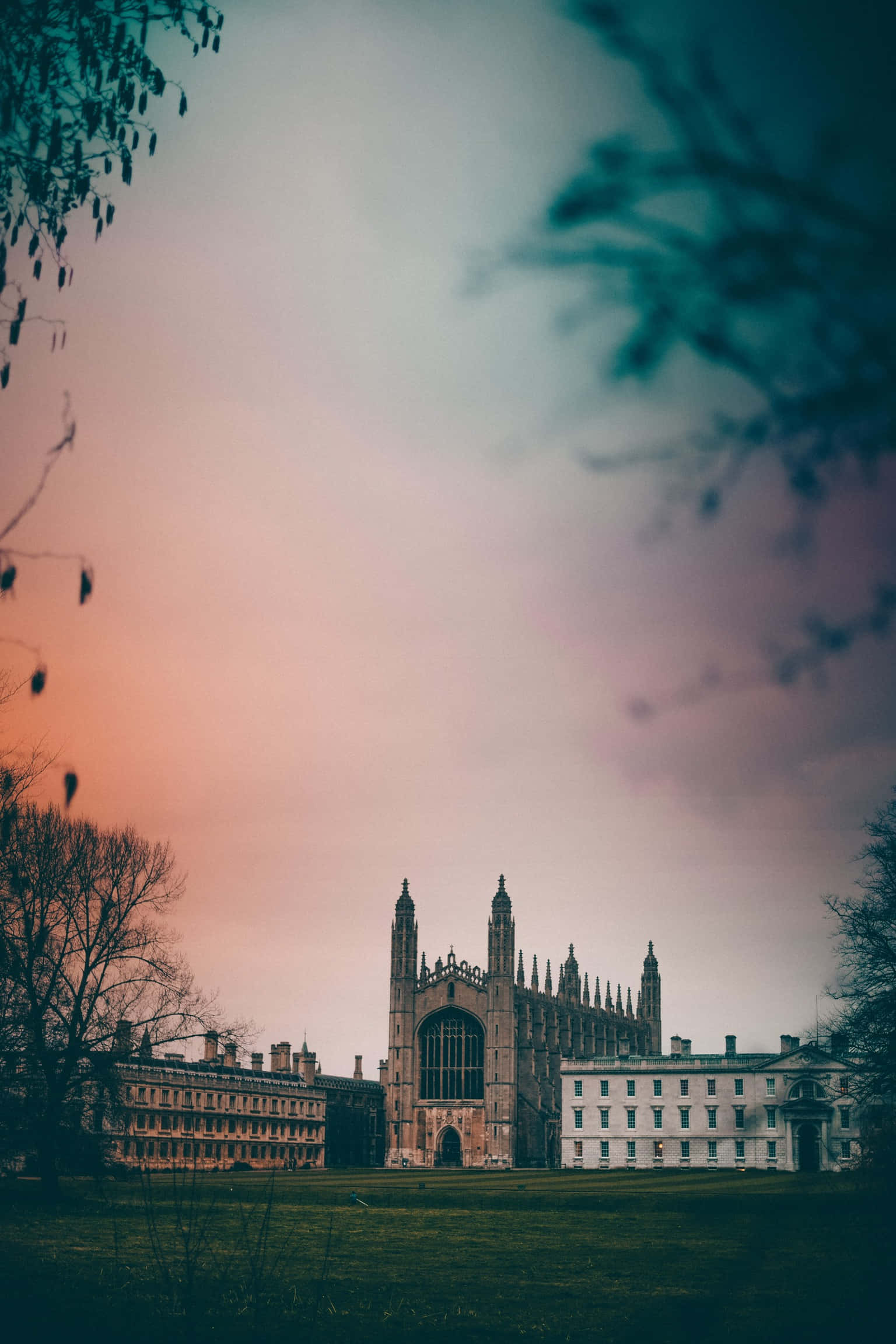 Cambridge University, Gothic cathedral, bare tree branches, Full HD Phone Wallpaper