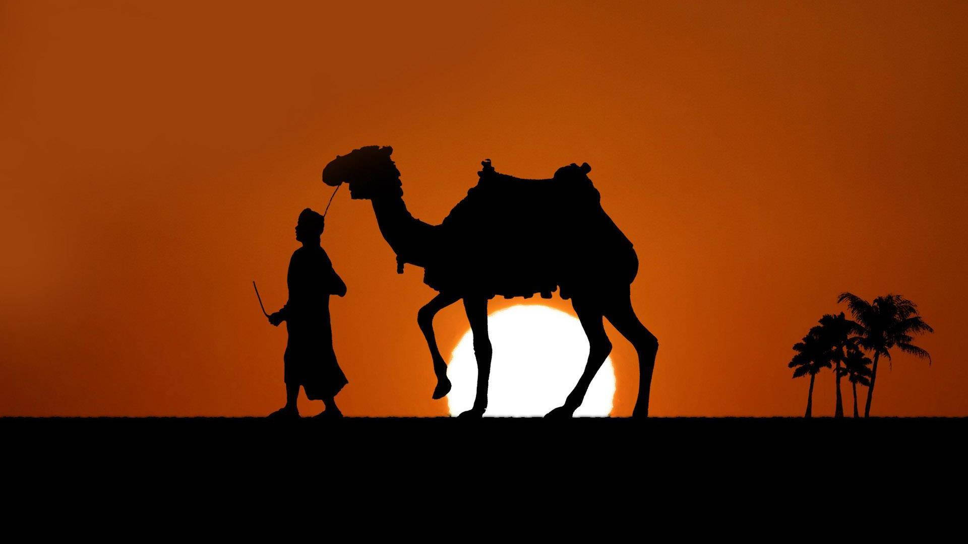 Camel, dusk, glowing orange sunset, Full HD Desktop Wallpaper