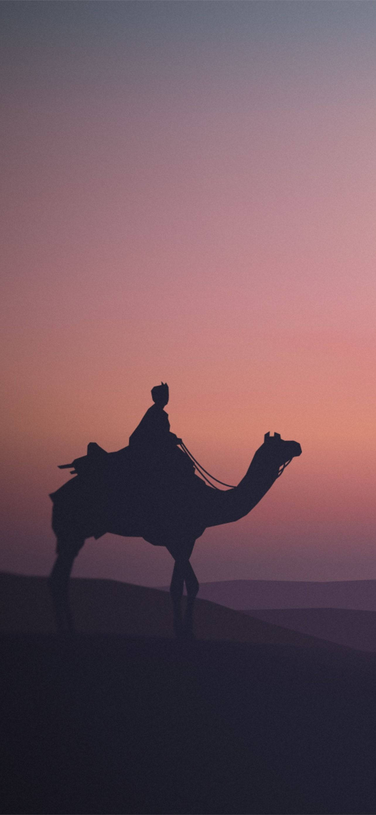 camel, purple scrim, dune, 2K Phone Wallpaper