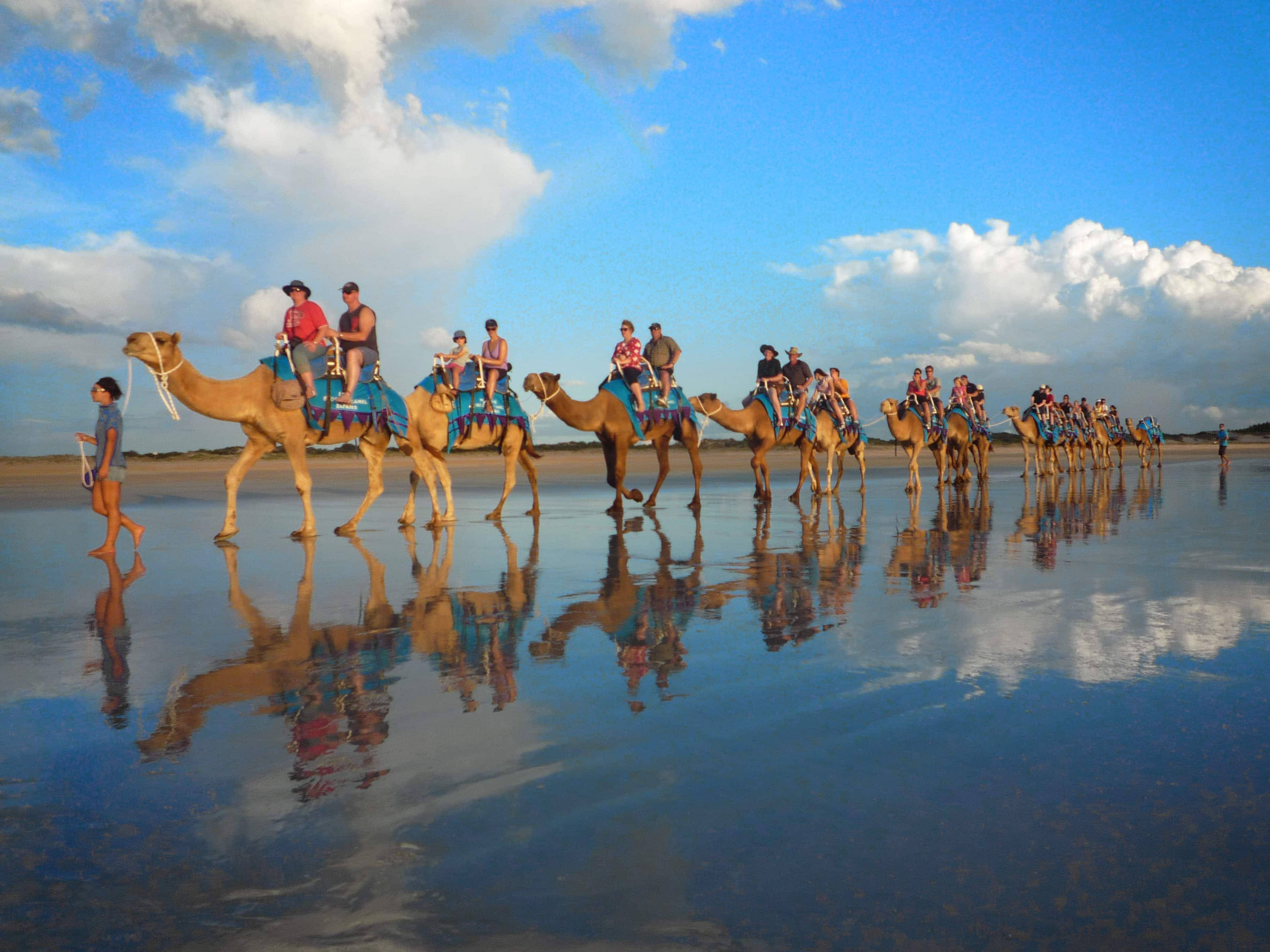 camel, tourists, wet reflective beach, 2K Desktop Wallpaper