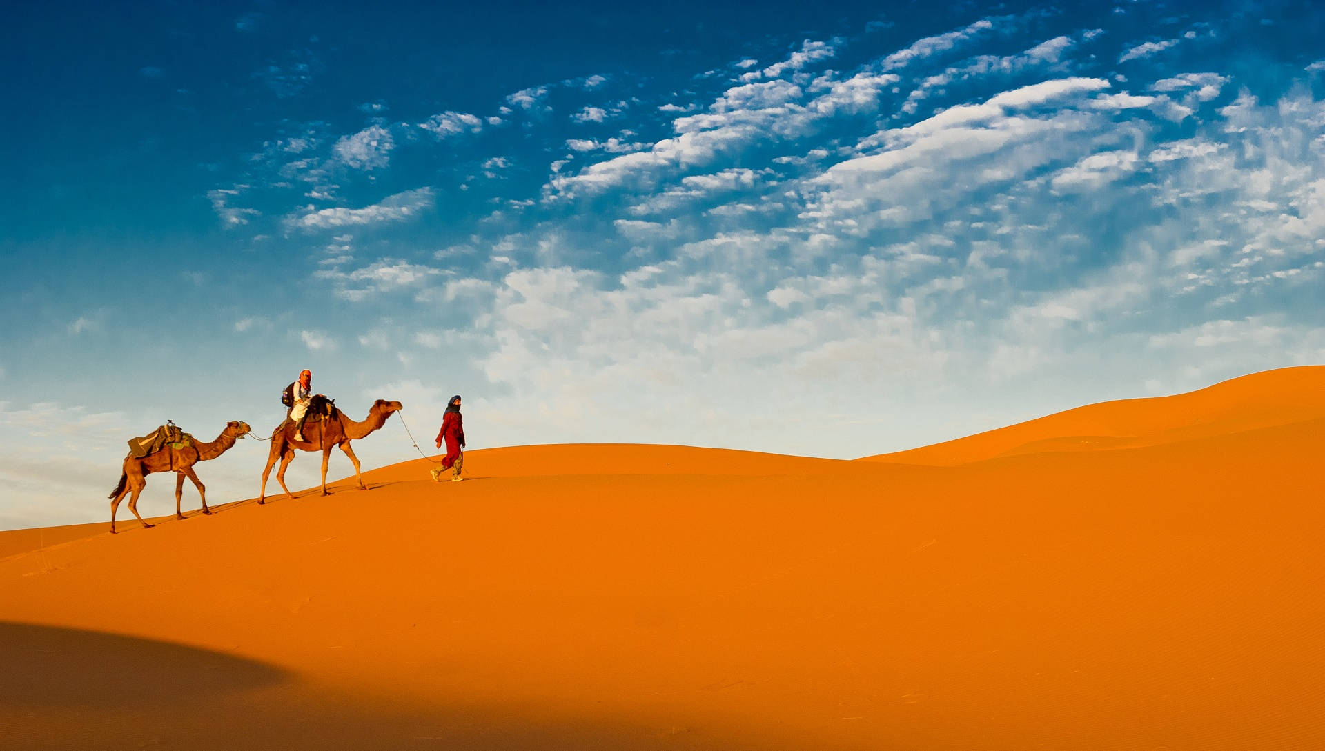 camel, two humps, golden dunes, Full HD Desktop Wallpaper