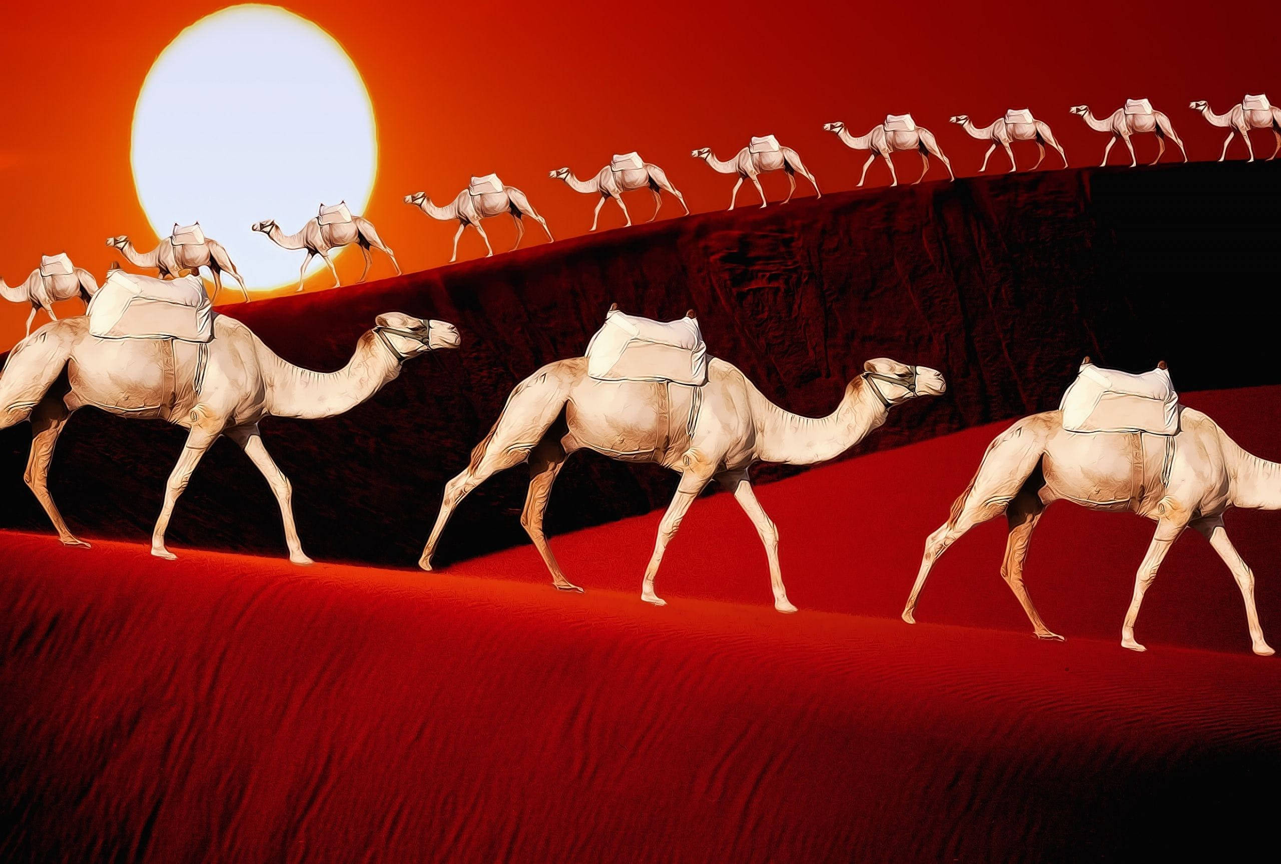 camels, red desert dunes, giant glowing sun, 2K Desktop Wallpaper