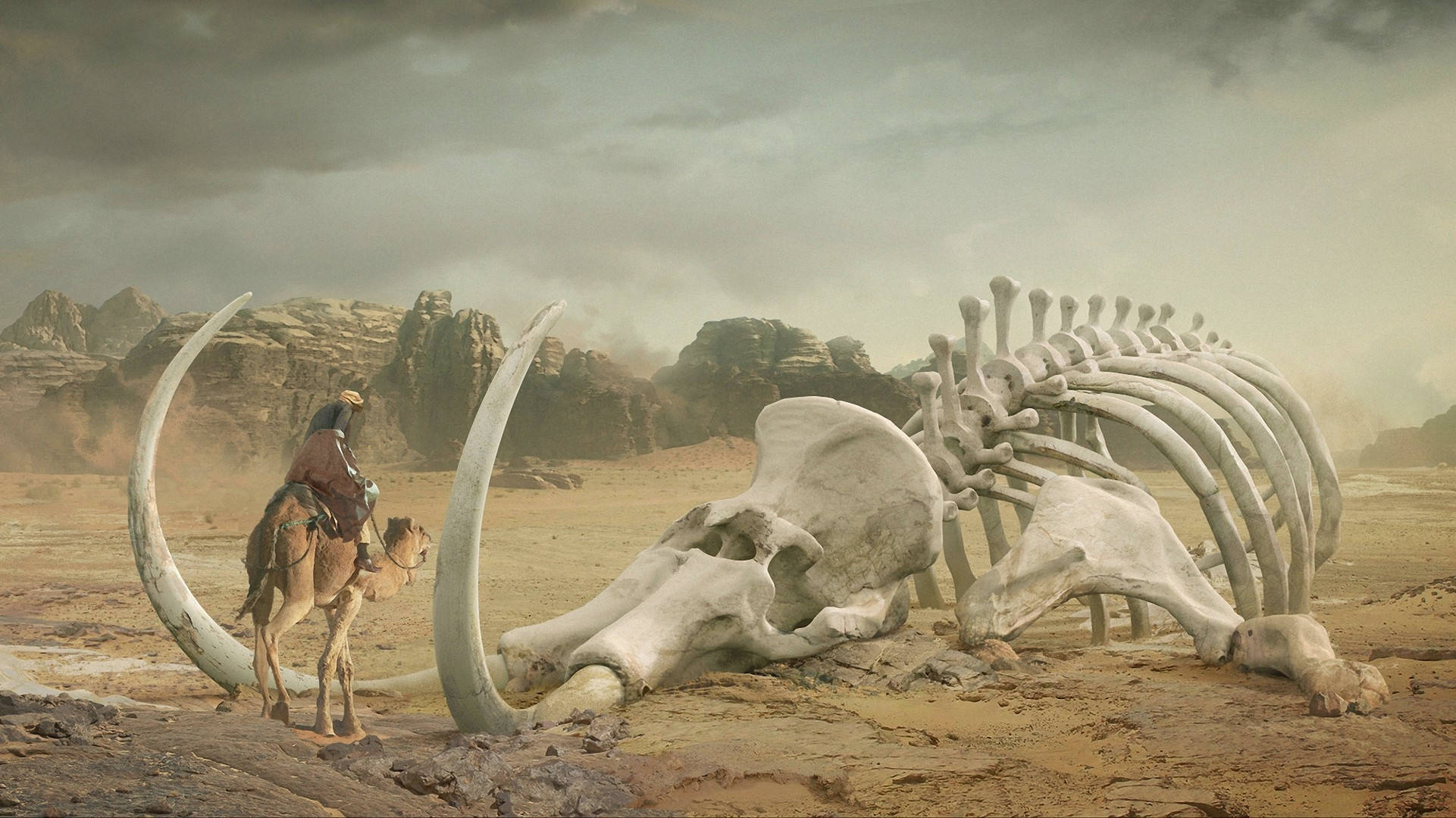 mammoth, camel, desert, Full HD Desktop Wallpaper