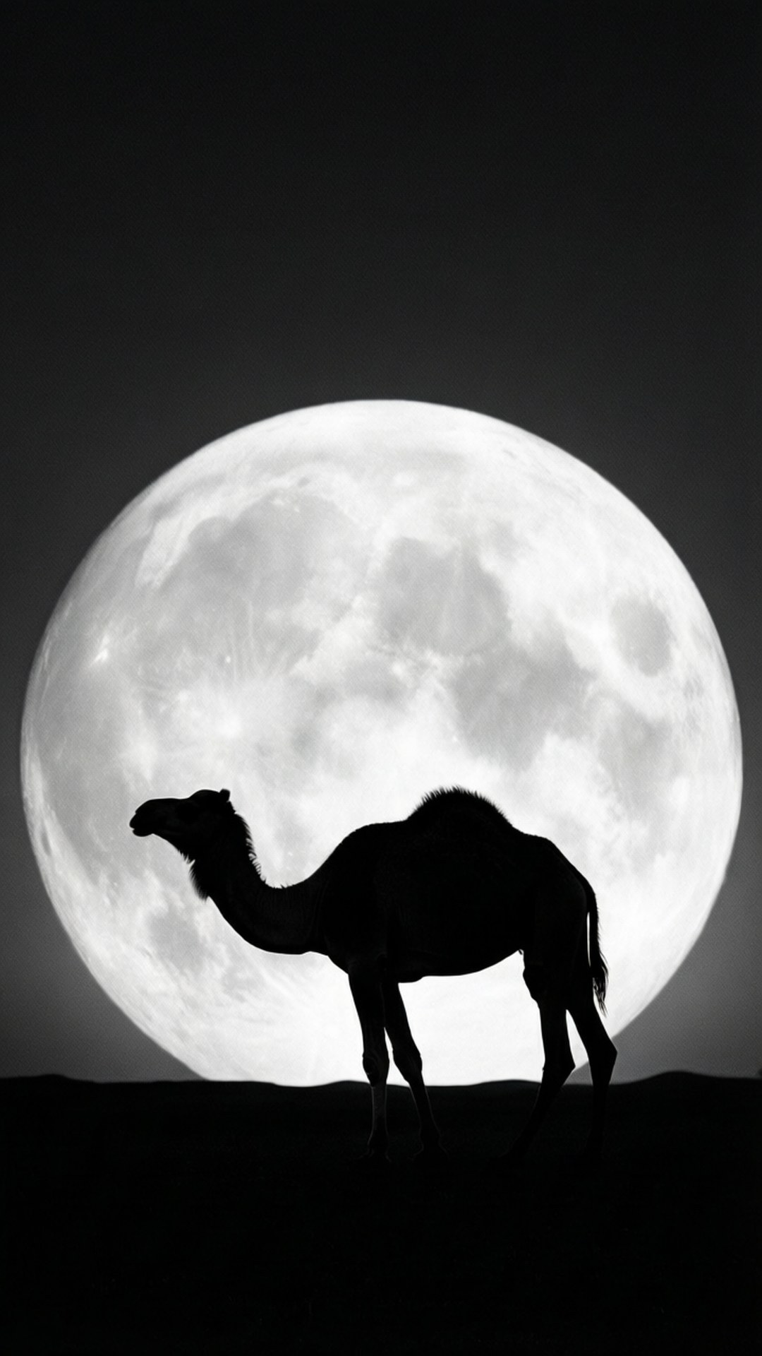 camel, full moon, desert night, Full HD Phone Wallpaper