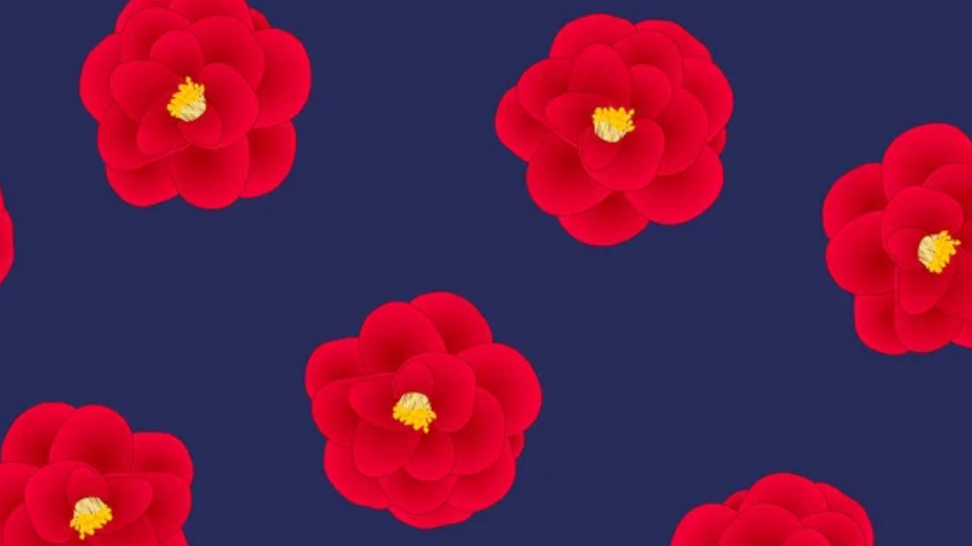 Camellia sasanqua, vibrant red, yellow centers, Full HD Desktop Wallpaper