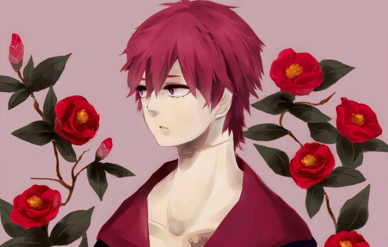 Camellia sasanqua, red camellias, vibrant red hair, HD Desktop Wallpaper