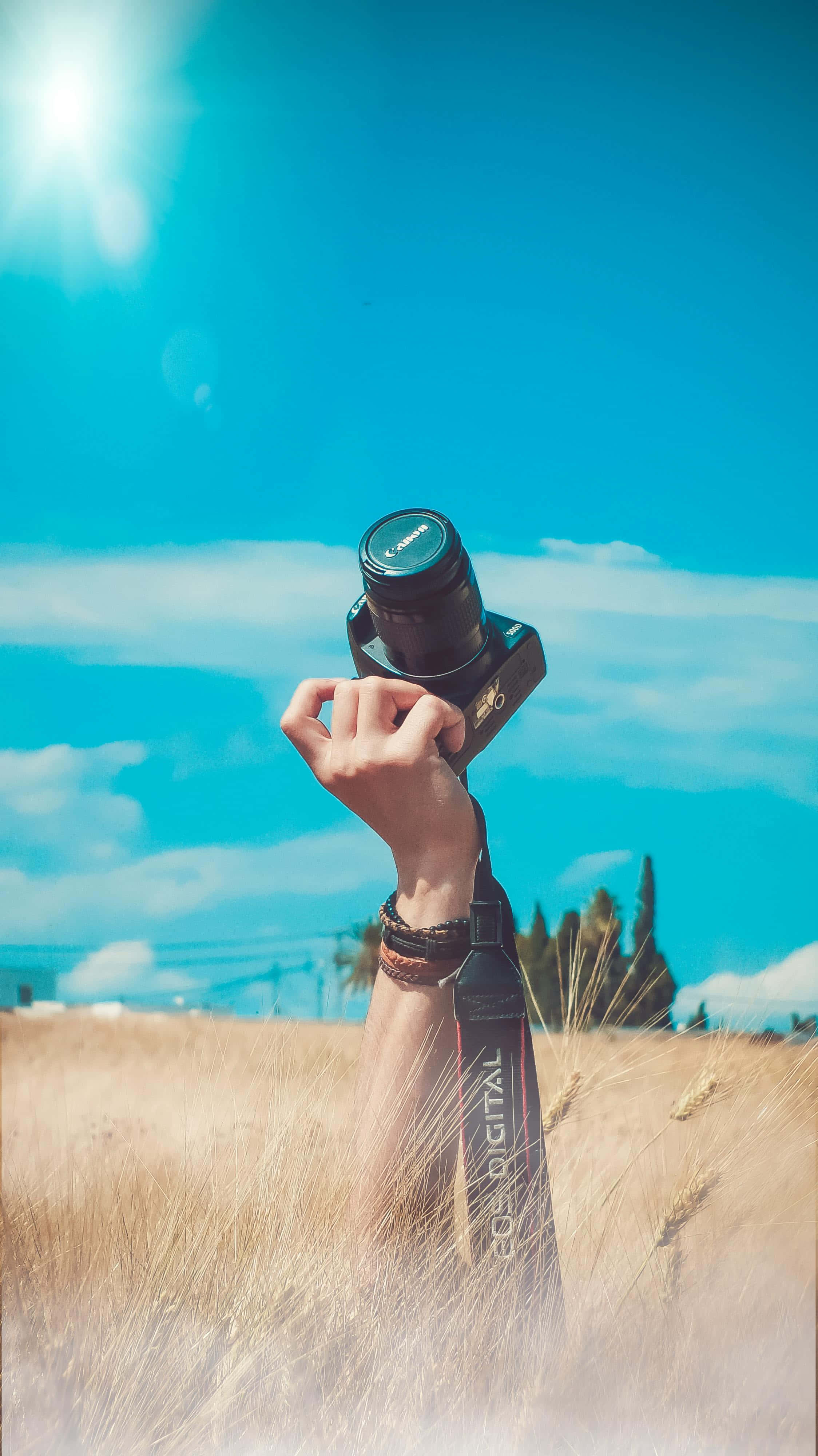 Cameraman, golden wheat, camera, 4K Phone Wallpaper