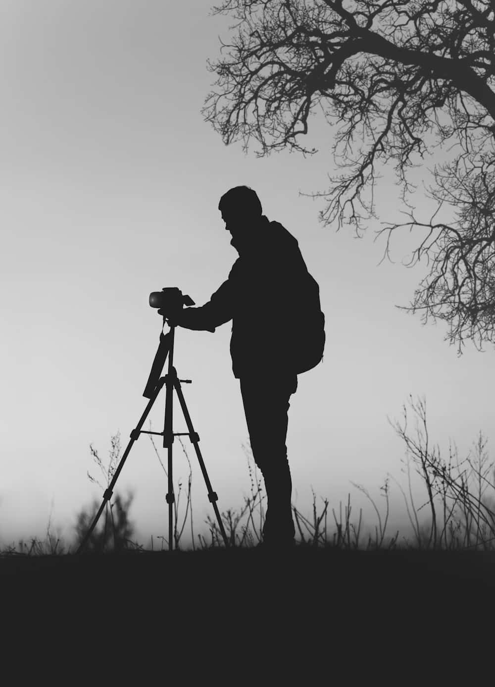Cameraman, tripod, bare tree, HD Phone Wallpaper