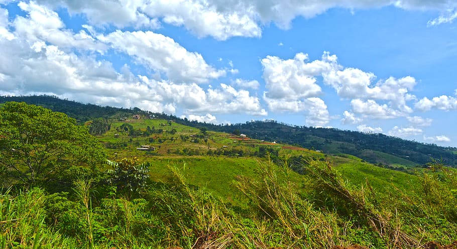 Green Mountain Field, Cameroon, blue sky, SD Desktop Wallpaper