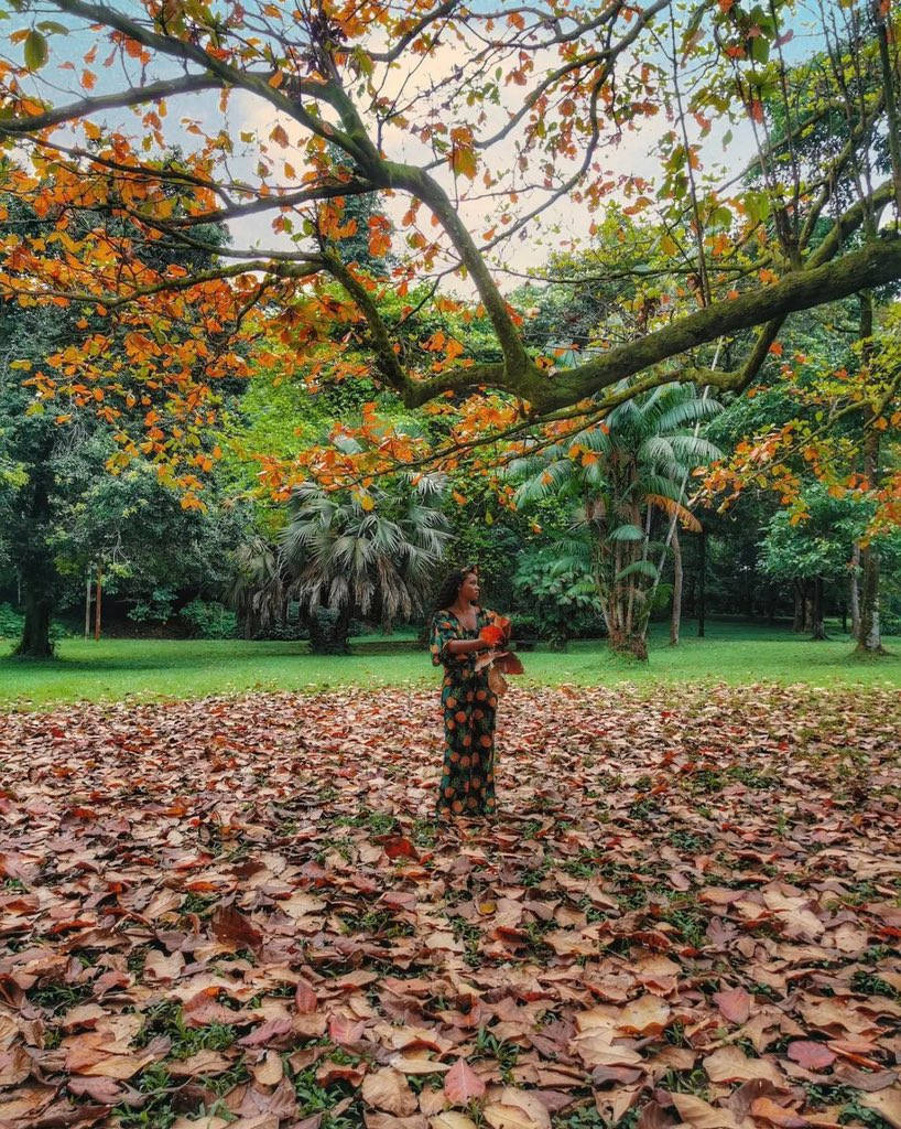 Cameroon, woman, patterned dress, SD Phone Wallpaper