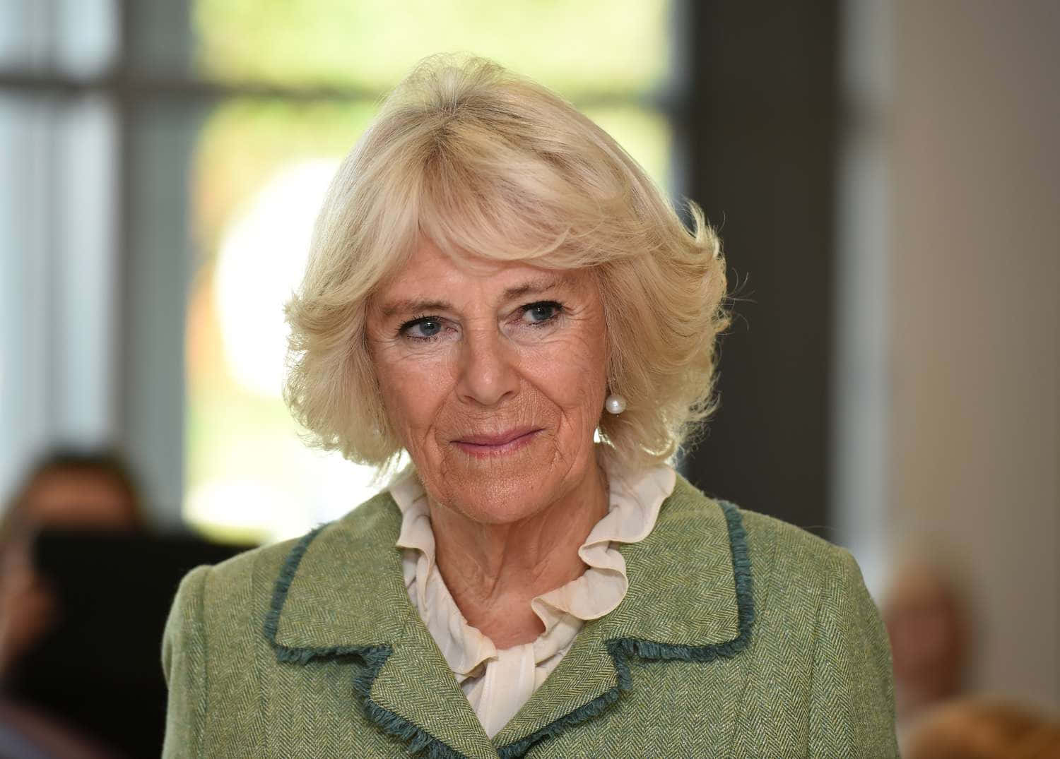 Camilla, emerald green dress, green tweed jacket, HD Desktop Wallpaper