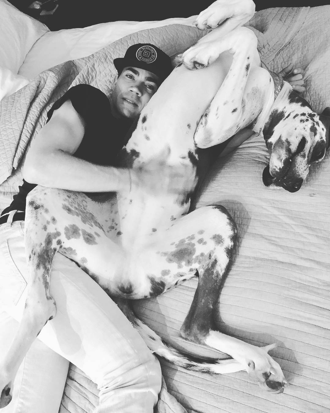 Camilo Villegas, dog, cap, HD Phone Wallpaper