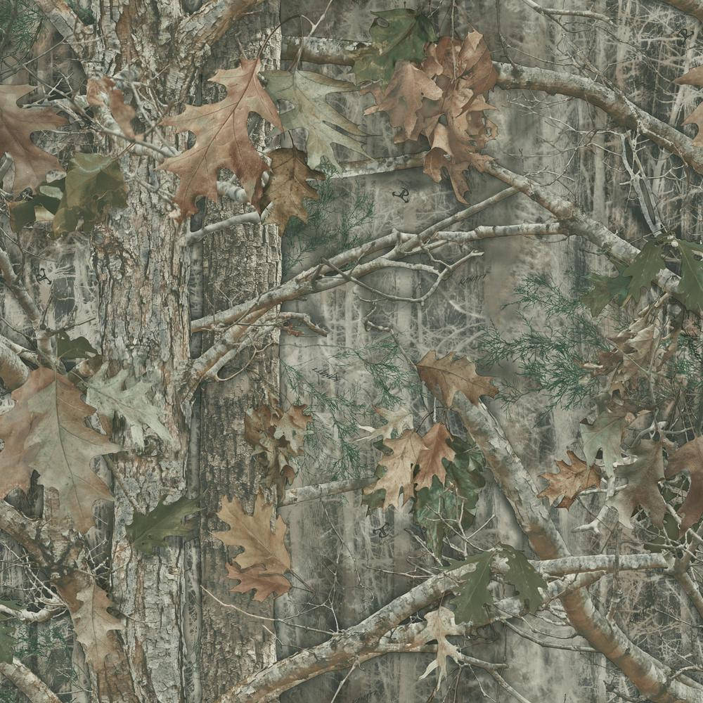 Camo Forest Woods, autumn forest, oak leaves, SD Desktop Wallpaper