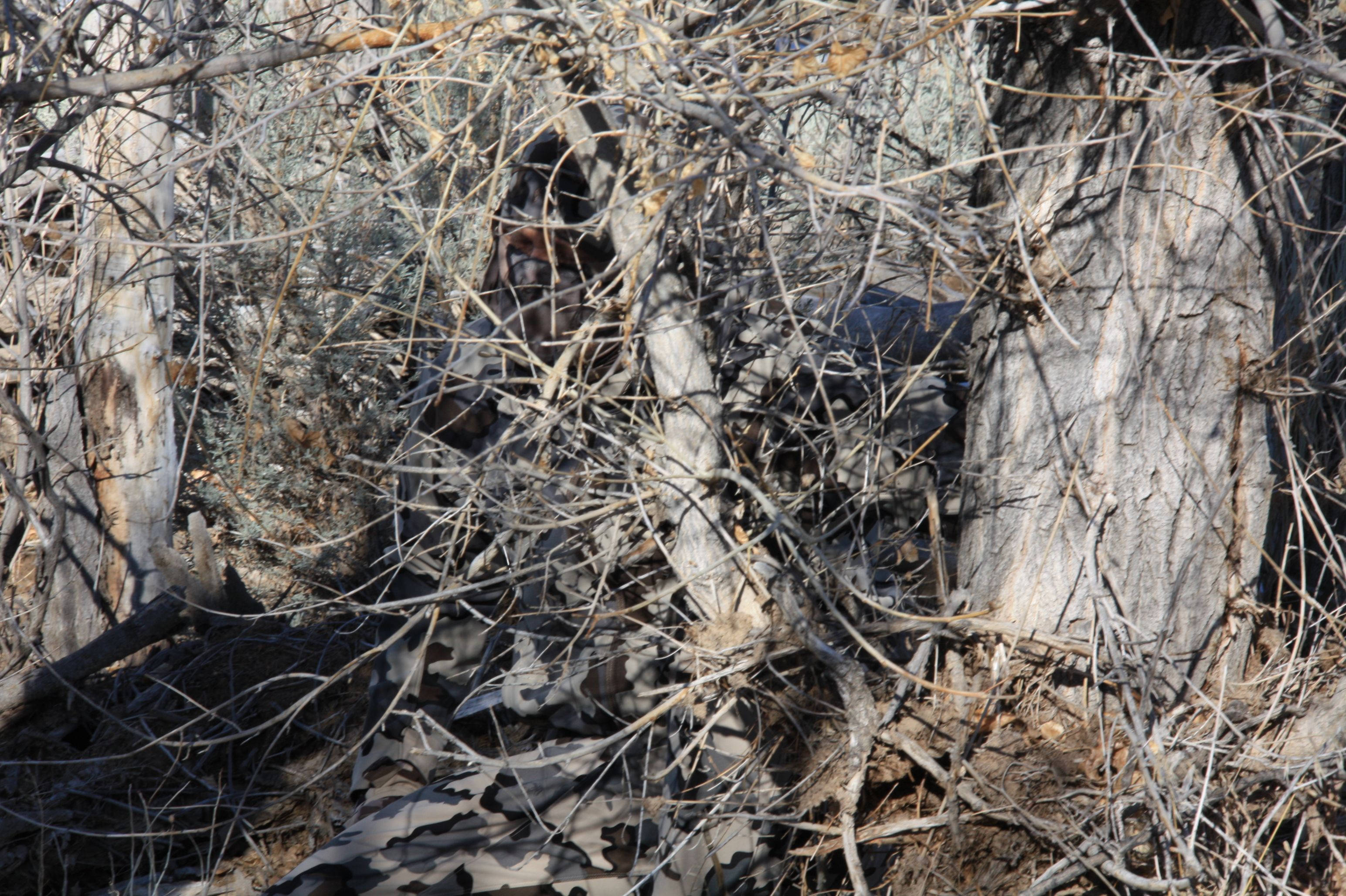 camo soldier, camouflage gear, tangled dry branches, 2K Desktop Wallpaper