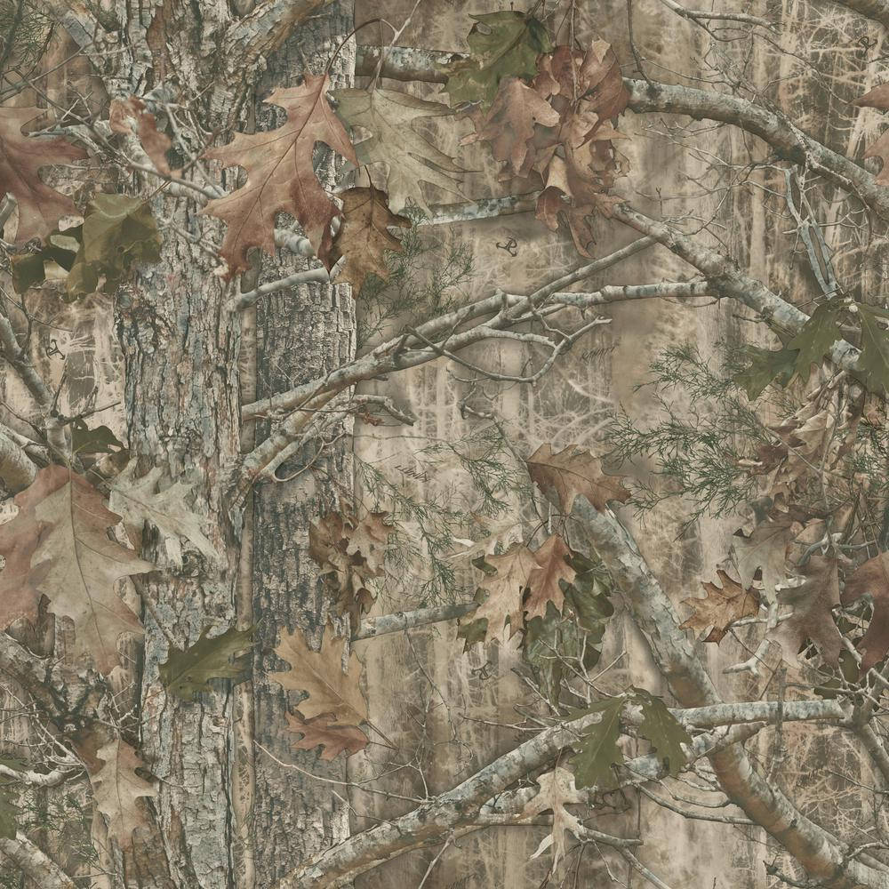 Camo Brown Forest, autumn forest, oak leaves, SD Desktop Wallpaper