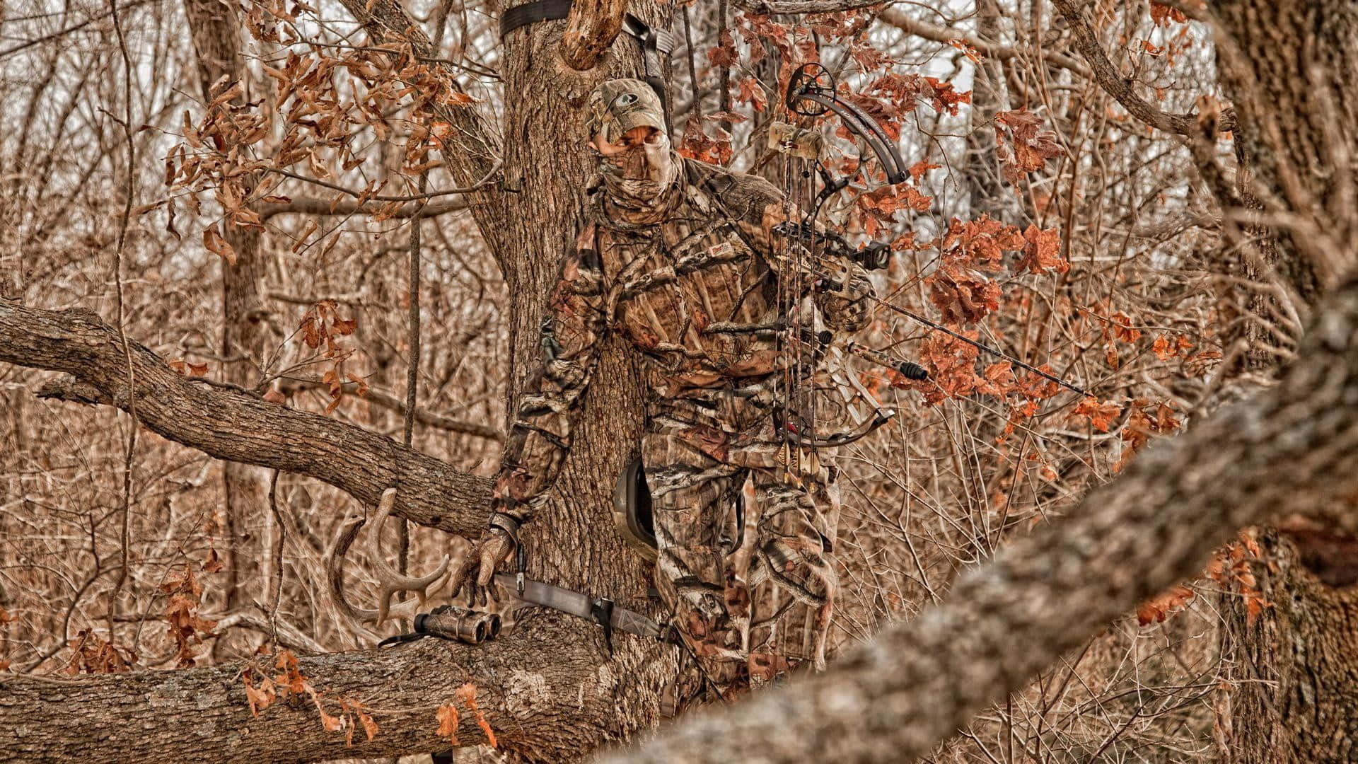 hunting camo, camouflage gear, bow, Full HD Desktop Wallpaper